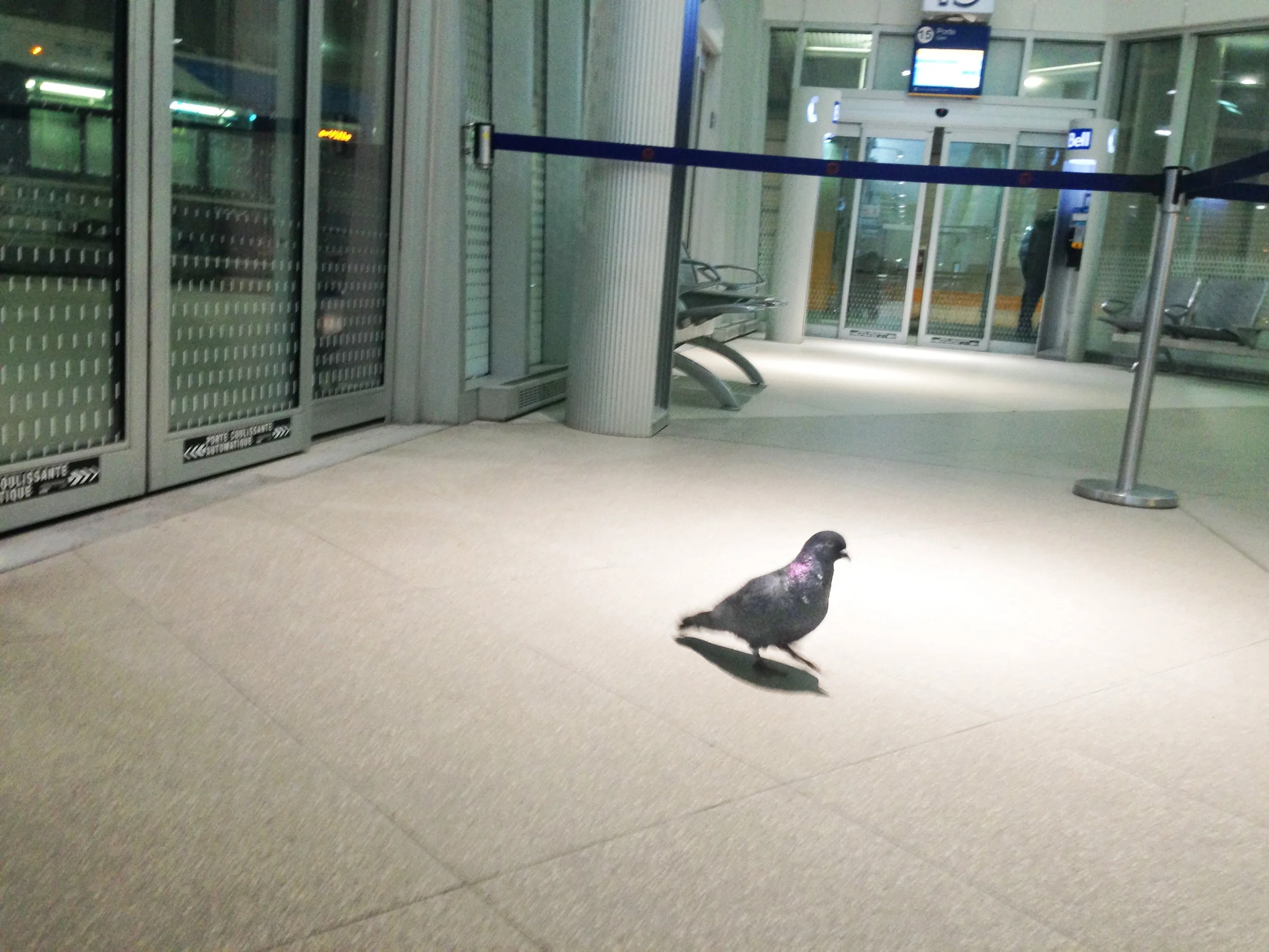 Alone (Montreal) / Seul (Montréal) - 2014