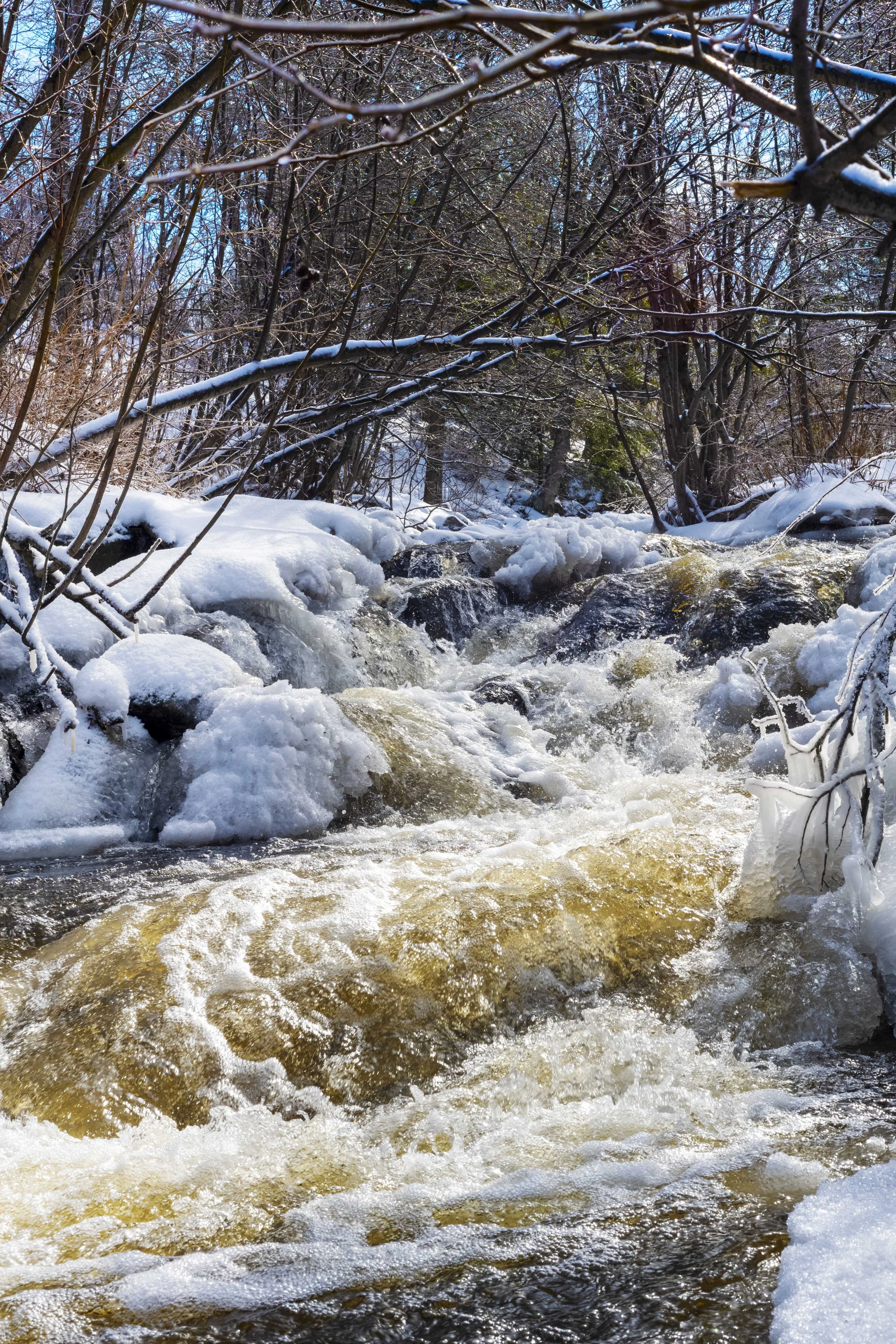 Marsh Creek / Ruisseau Marsh (2022)