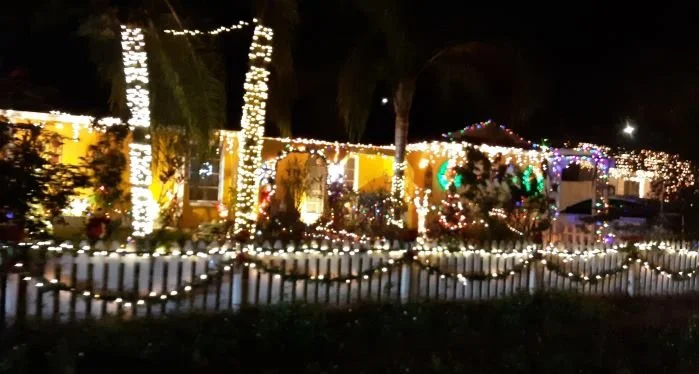 trolley view 2021.jpg