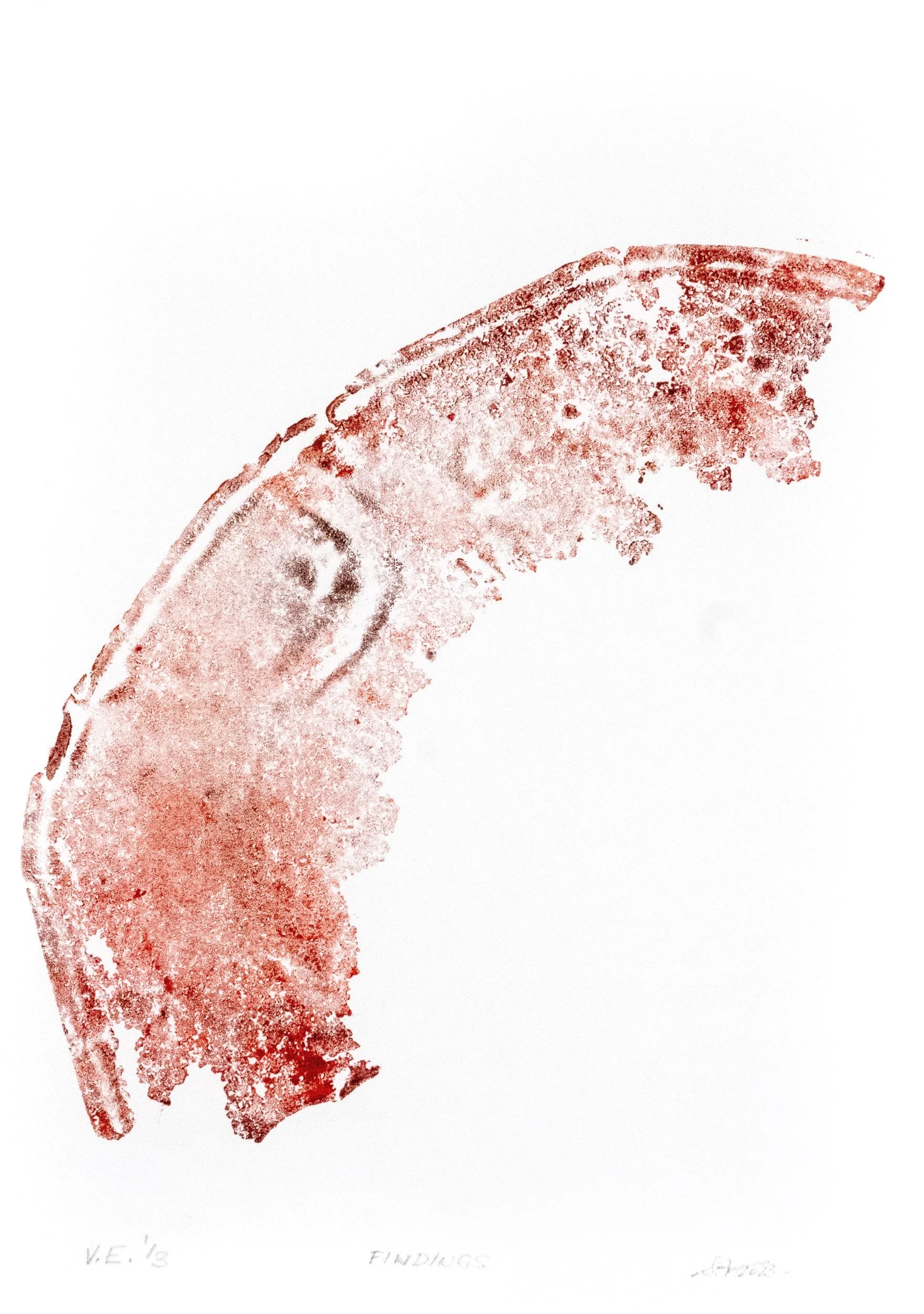 V.E. 1/3, Findings, 9.5" x 13", Rust print, 2023