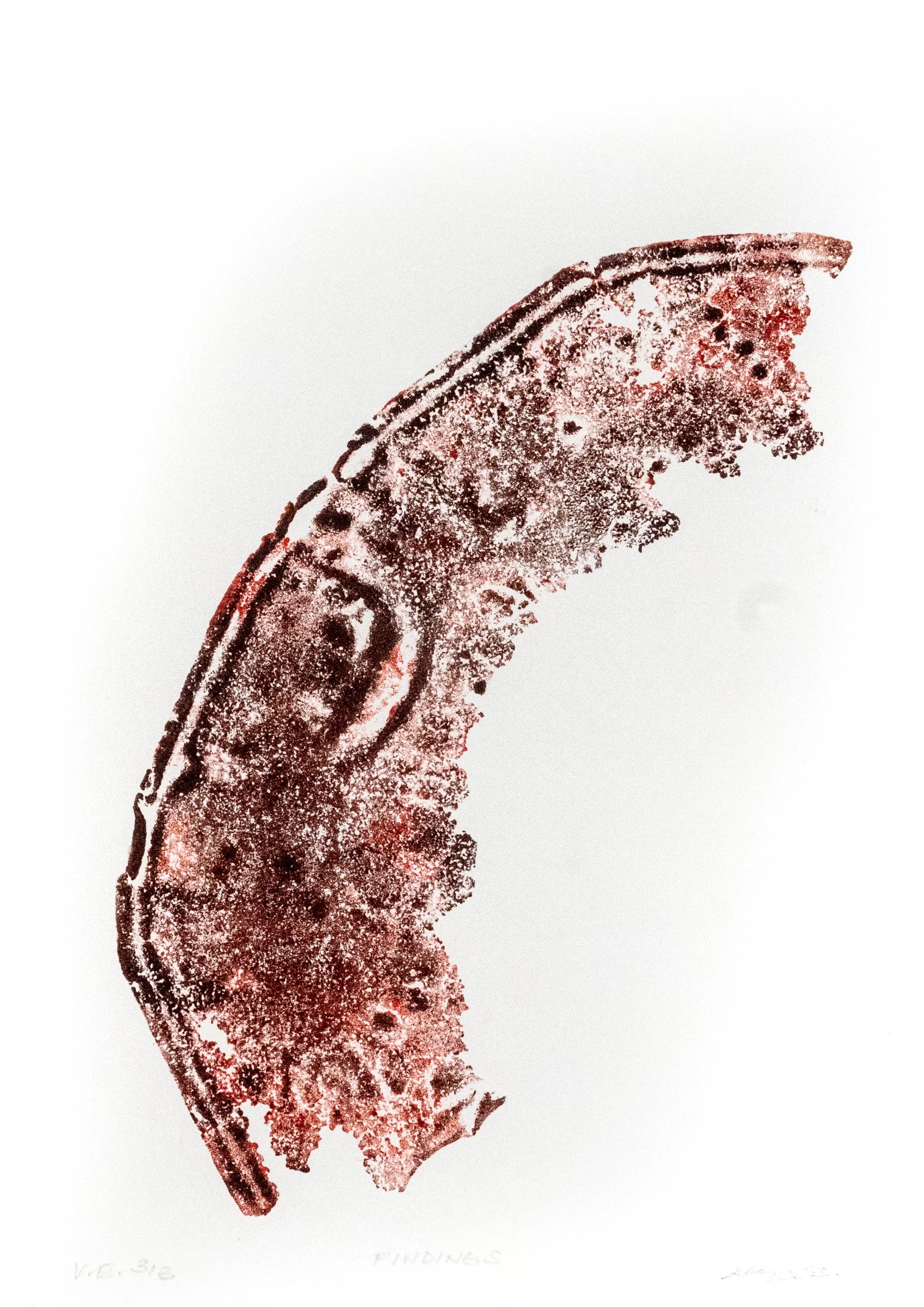 V.E. 3/3, Findings, 9/5" x 13", Rust print, 2023