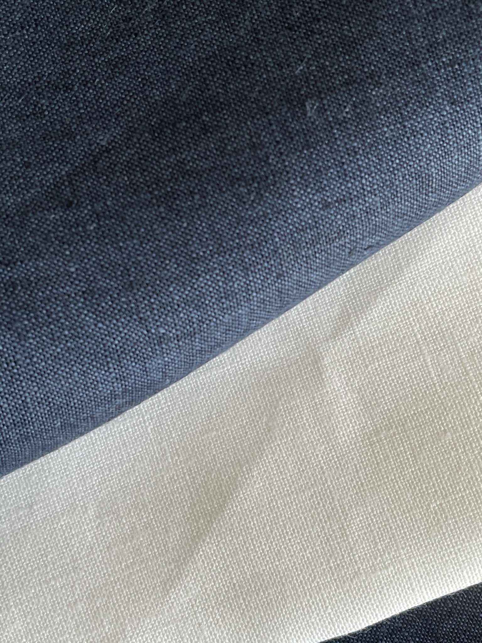 remnant dark blue ch 2.jpeg