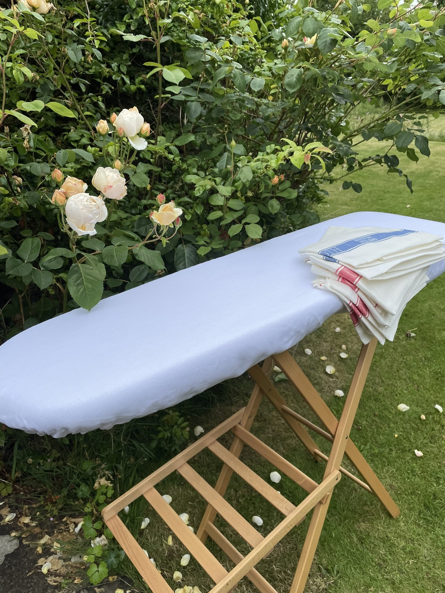 IBC white linen.jpeg