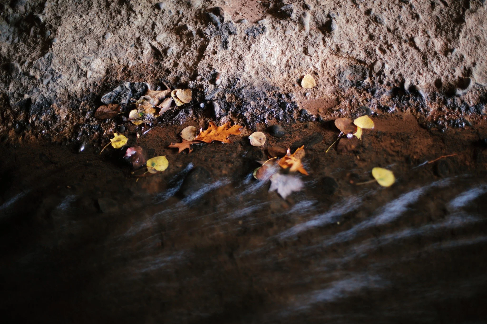 WHEN I RECALL &mdash;&mdash; Erosion is an element of what I love most. All forms of entropy; rot, rust, corrosion define me. Give some concrete eleven decades to wear away, and it's just about at the level I appreciate. I've heard all sorts of folks