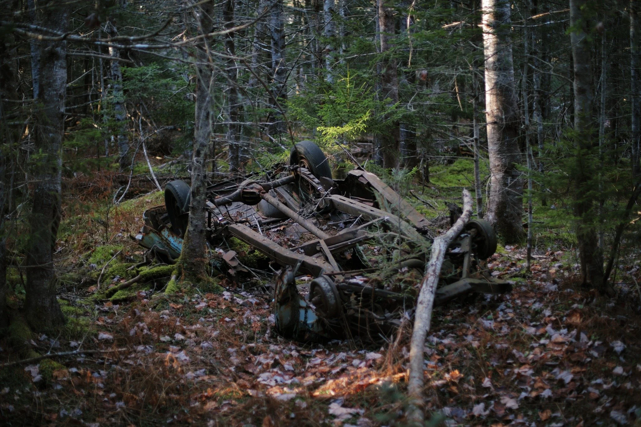 THE SCARCE SUN &mdash;&mdash; You'd be forgiven for thinking this Meteor fell from the sky. When I find an old wreck this deep in the woods, so disconnected from any road, I wonder on the journey it took. An assembly line worker at the Ford plant in 