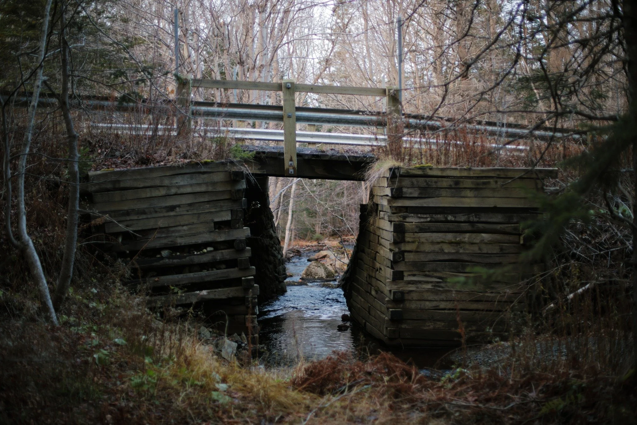 KNOWINGLY NEVER &mdash;&mdash; Maybe your confidence would be shaken on some rural bridge crossing, if you ever descended to see below. The old wooden cribbing wasn't quite the best notion, a proof against the fools always saying: &quot;They don't bu