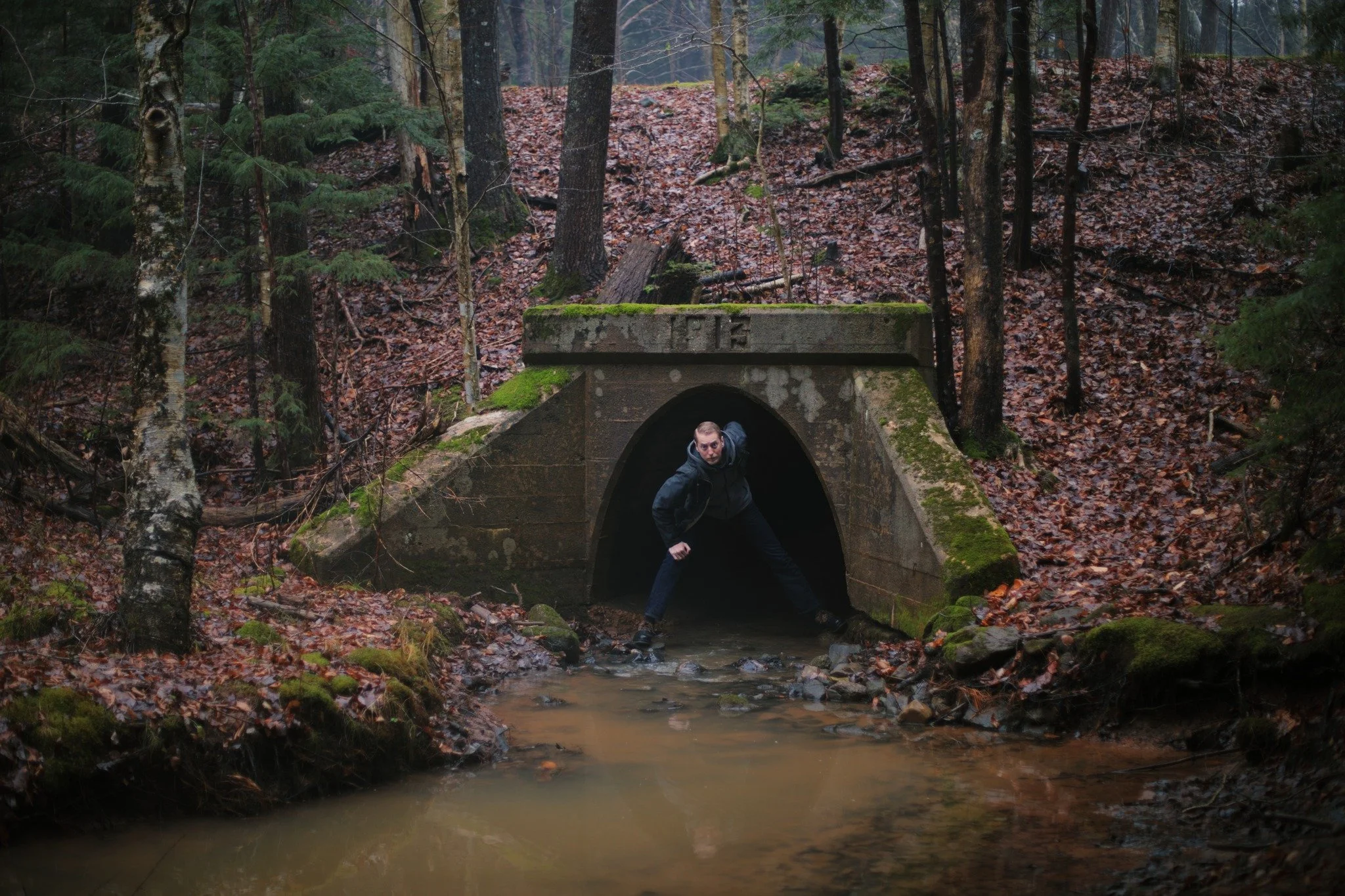 THE END OF &mdash;&mdash; I wasn't feeling up to wandering today, but I'm glad I did. A heavy mist made the woods so darkly vibrant, and the smell of autumn's leavings was glorious to inhale. I got wetter than expected, and it reminded me of younger 