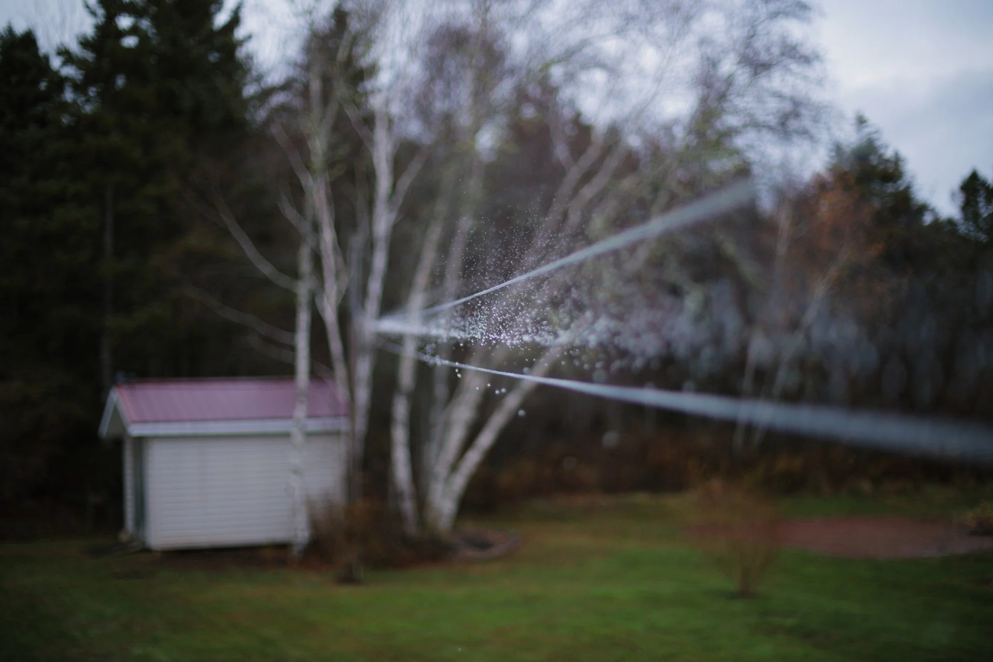 IS A LULLABY &mdash;&mdash; Few things make me happier than flicking droplets off a clothesline in the rain. That resounding resonance sets them in flight, startled birds on a telephone line. It's like plucking a single note, and being satisfied with