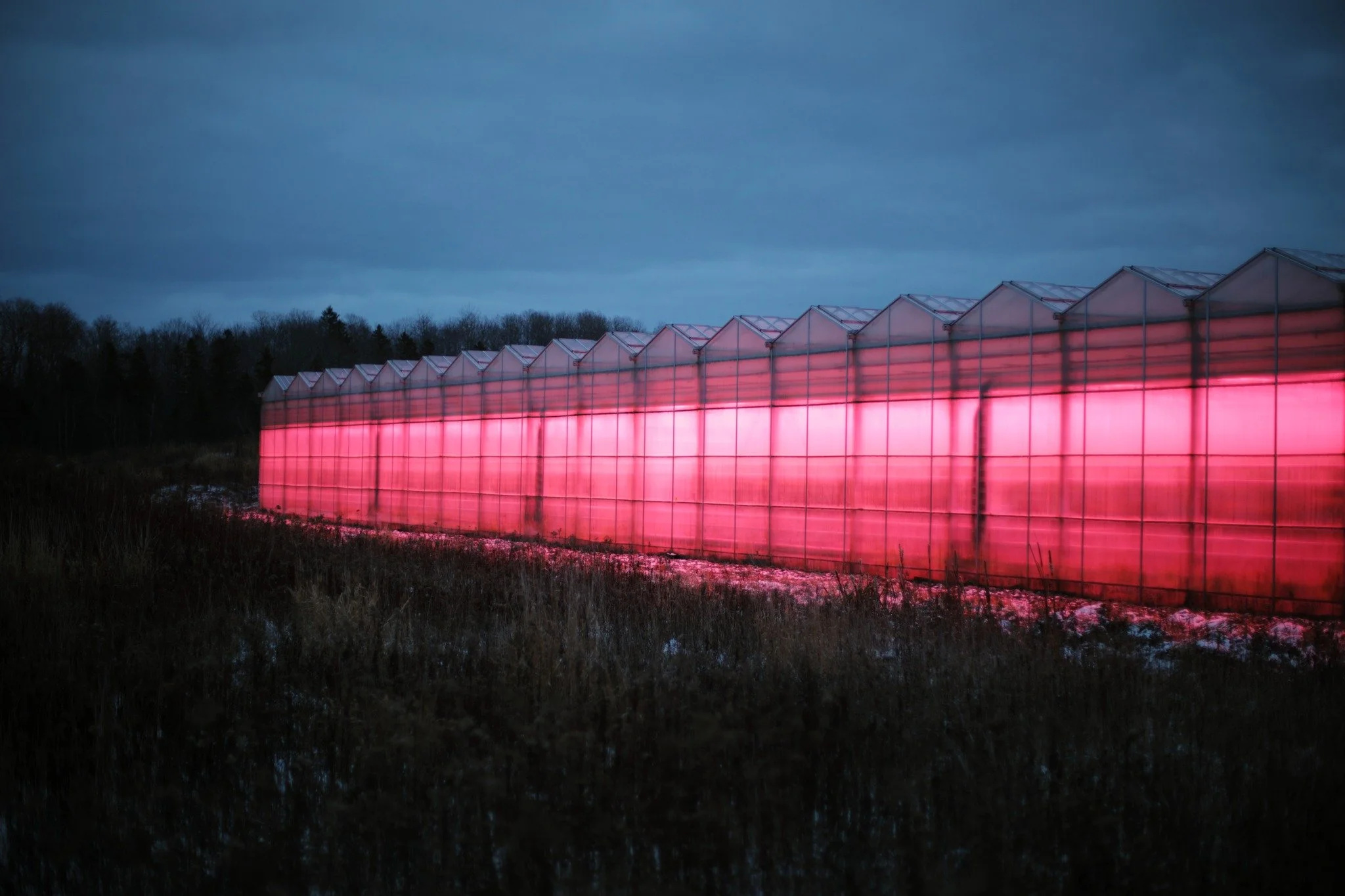 MOTH AT HEART &mdash;&mdash; When natural light isn't forthcoming, what's made by humans holds a lot of sway on me. Short days and low sun lets not much cloud conspire to crowd the sky. Lately seems like when it's not raining, it's snowing, and if ne