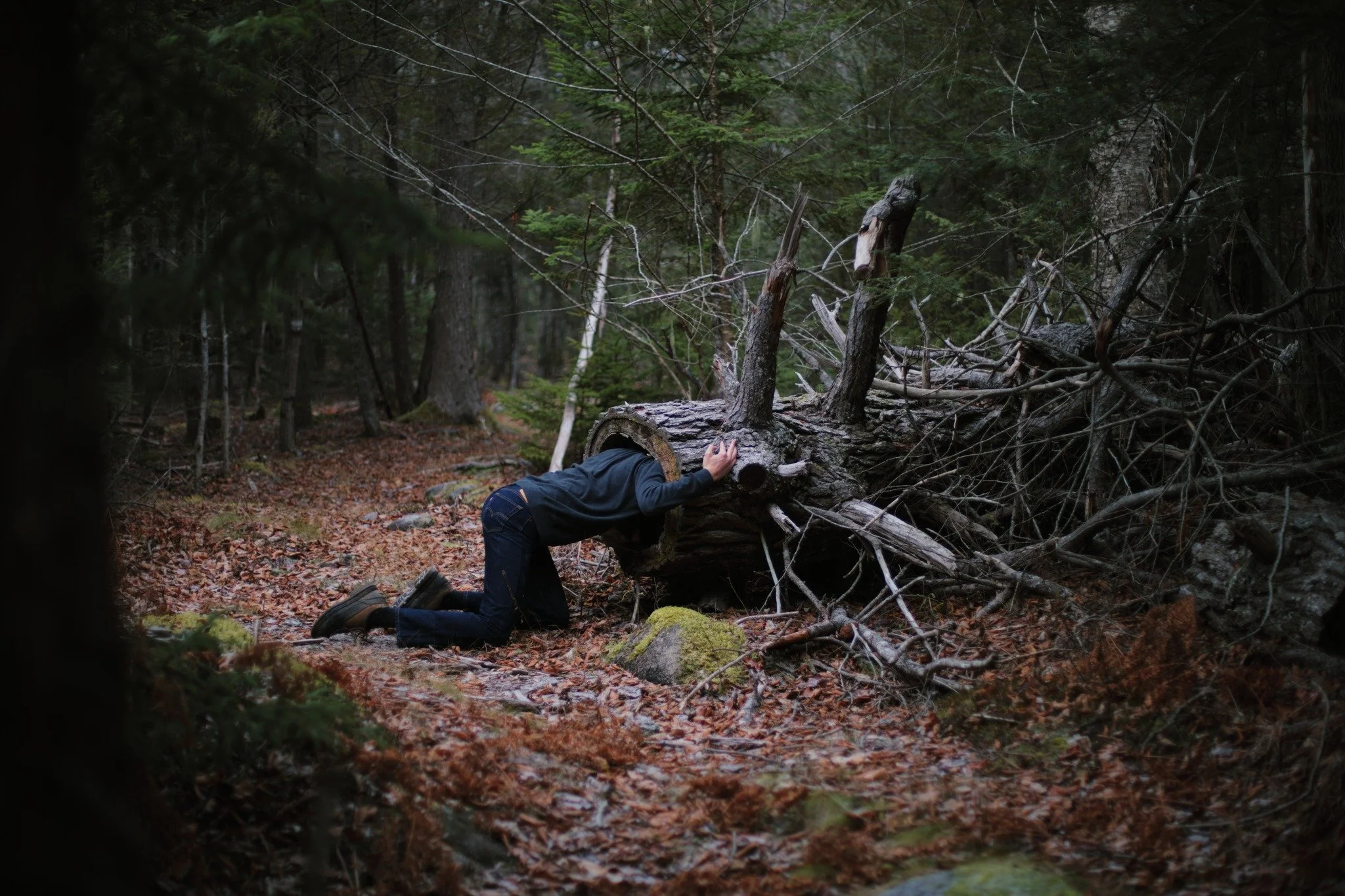 LUCID LOVER

there's a spirit said
but seldom seen
hiking into twilight
like slipping off to sleep
and the world that wakes
looks just like dreams
(waiting on the likes of me)
don't you see by now
that shadow surrender?
of my sister self in the shade