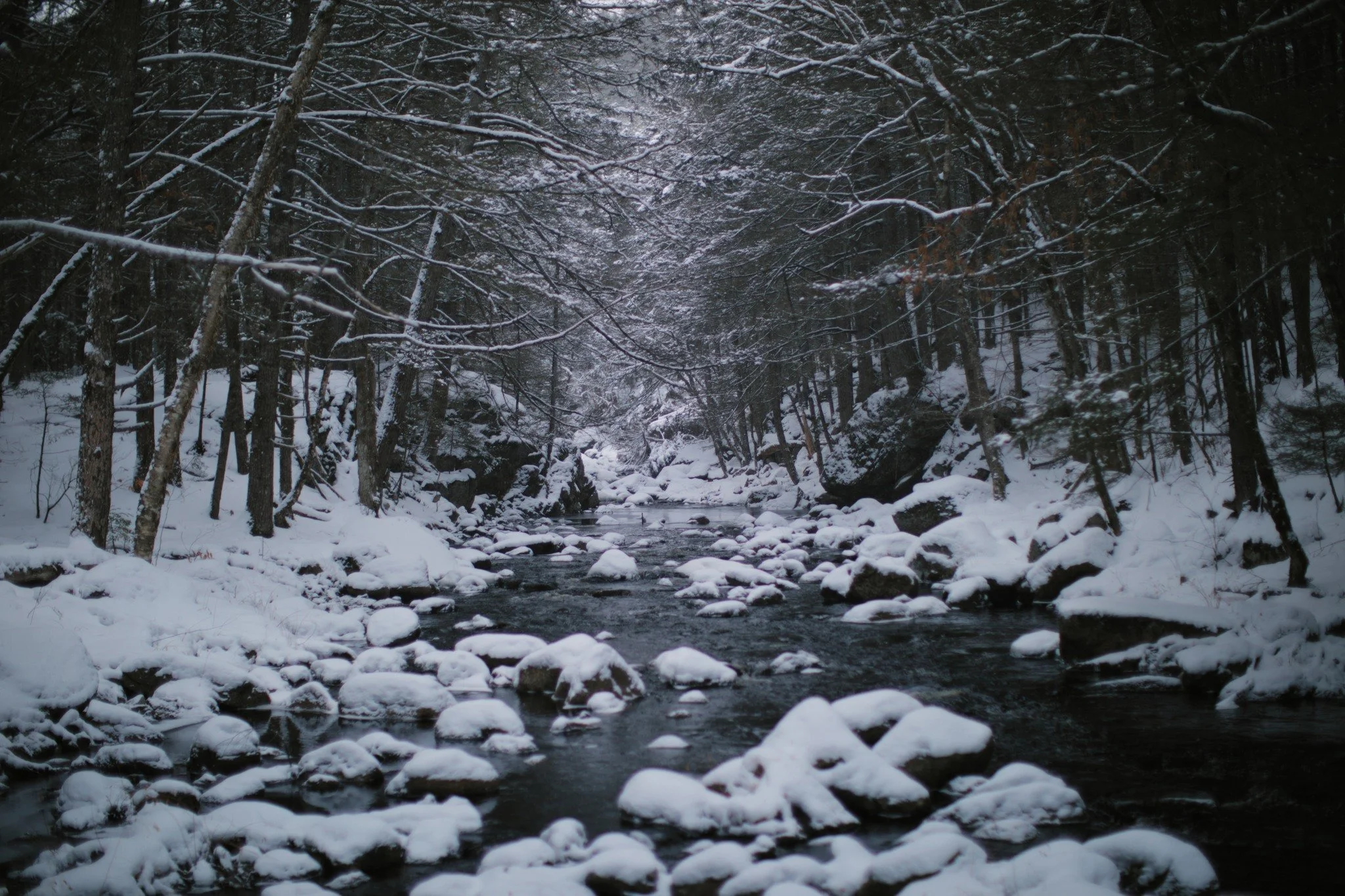 WEIGHT ON THE WAY &mdash;&mdash; If I'm sure about something, it's stillness. Not mine, mind you &mdash; I mostly always keep moving. But I believe that I'm most suited to the pace that restlessness sets. I've long been driven by glancing out the win