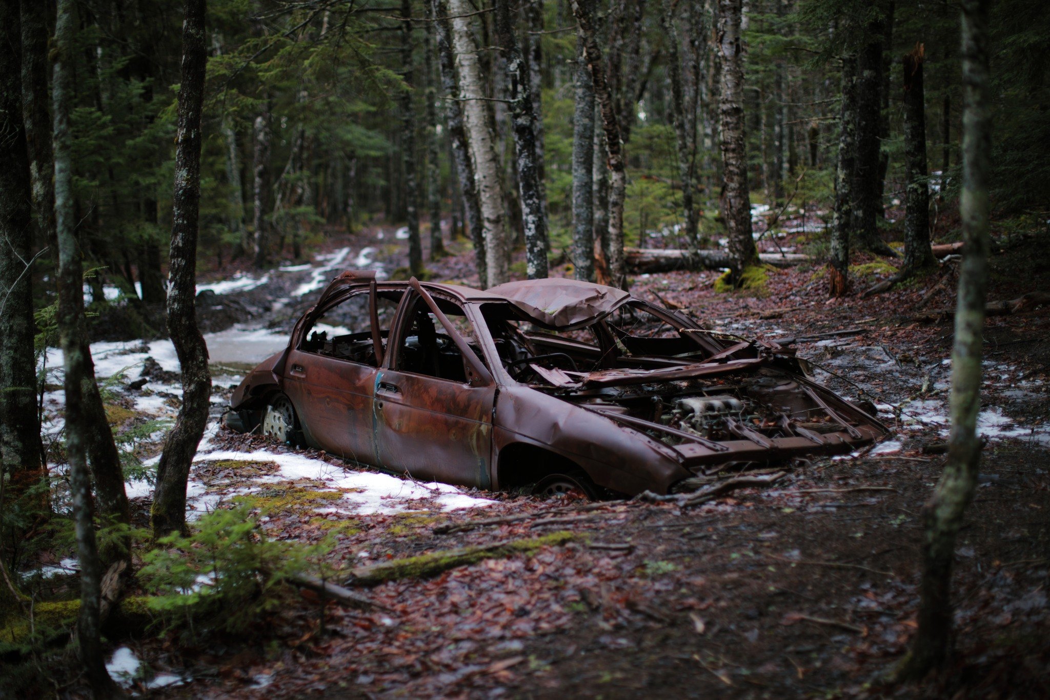 DRAWN AND QUARTERED

I was
discovered
like a starlet
on a stool at a diner
waitin' for her big break
they said: "you'll know you made it
when you wake up
and you're broke"
now all those former
strangers know my name
but there's more to bein