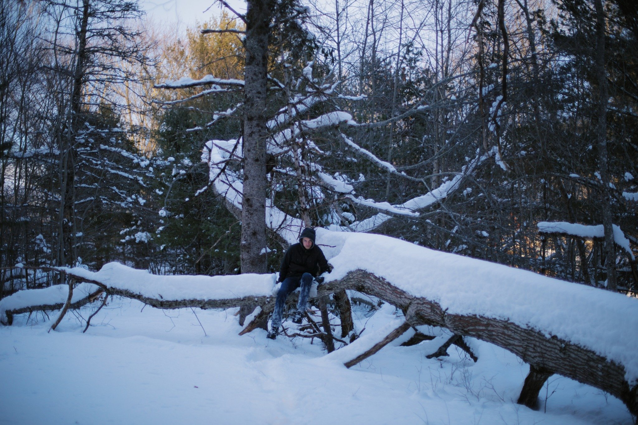 SO FAR INWARD &mdash;&mdash; The last few falls of snow weigh almost nothing. It's always my happiest feeling in winter, wading knee-deep through a world too soft to cause me harm. In a random bit of woods by the icy river, I heard it creak and groan