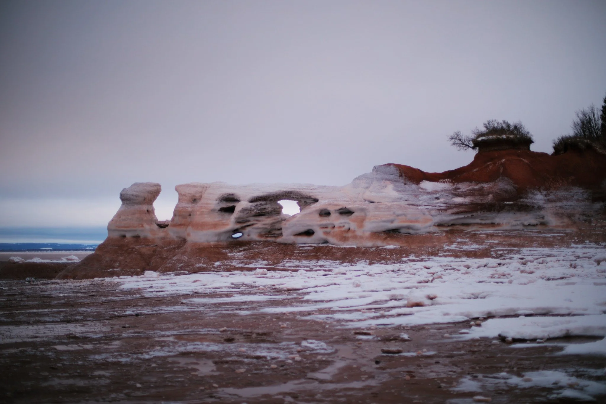MOTHER SHORE &mdash;&mdash; I've been feeling so sharply in need of colour lately, so much of it all buried in white. An hour out on the red sandstone shore sure seemed relieving. The hollowed formations of Medford country are easily all mine this ti