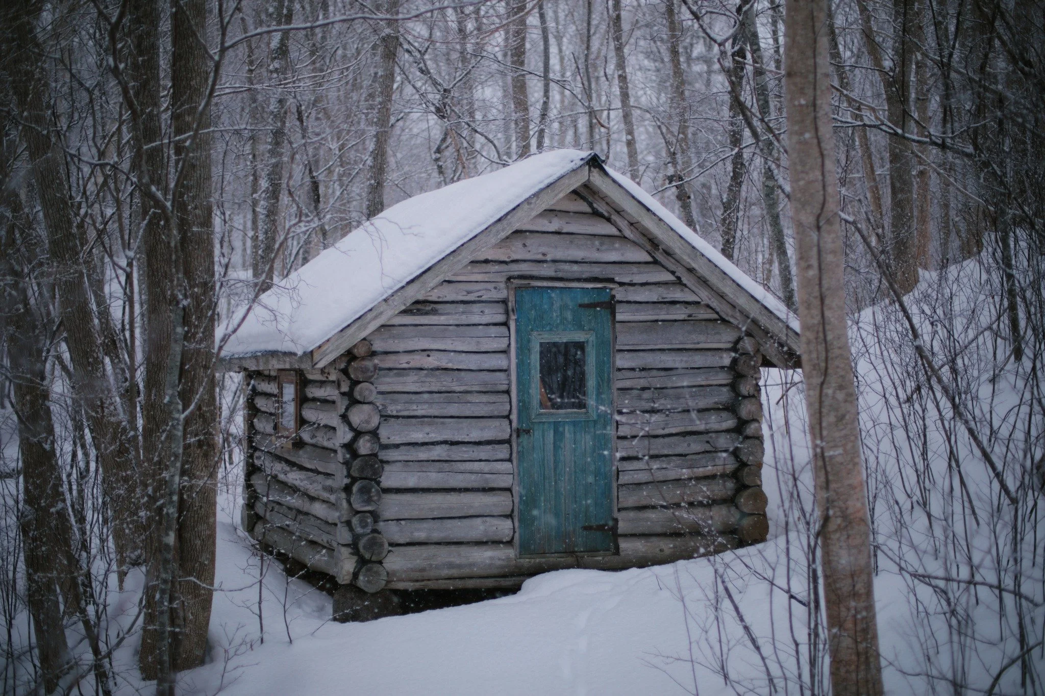 WANDER BEYOND &mdash;&mdash; Walking up a creek from the Annapolis River, I spotted this little log cabin through the trees. Too small to reside by any estimation, just a shelter for the sake of nature all around. I used to think a lot about me witho