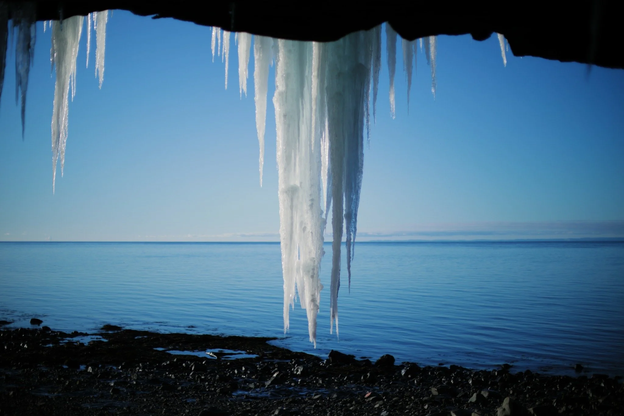 EACH FLIGHT ESCAPED &mdash;&mdash; The wide open sky has been such a rare occurrence lately, a sight so uncommon that I almost doubt it. Seems insane to believe such things. Keep forgetting that it's always up there, somewhere, shining. One of the mo
