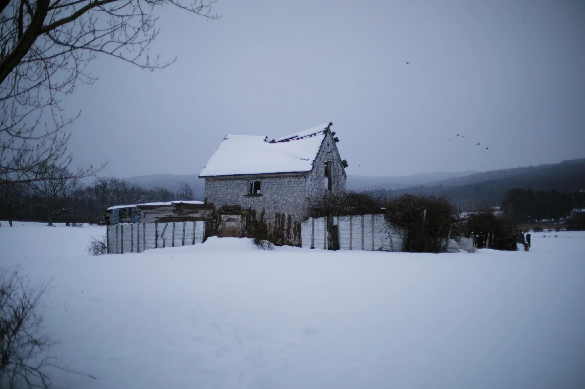 CAPSULE OF TIMES &mdash;&mdash; Since this long-abandoned home was raised, overlooking floodplain fields of Annapolis River, a lot has changed. Directly behind me was the regular rattle of Dominion Atlantic Railway, now torn up and gone silent, going