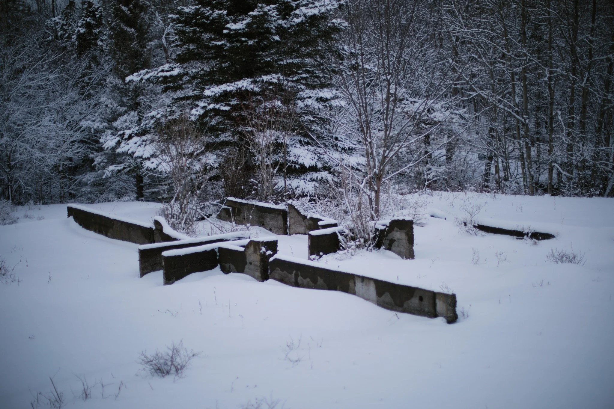 THAT ANY BOY &mdash;&mdash; This collection of concrete walls have had a longtime hold on me, foundational remnants of a farmstead once standing on the outskirts of a cattle field. For decades, I've paused to wander around them like some accidental p