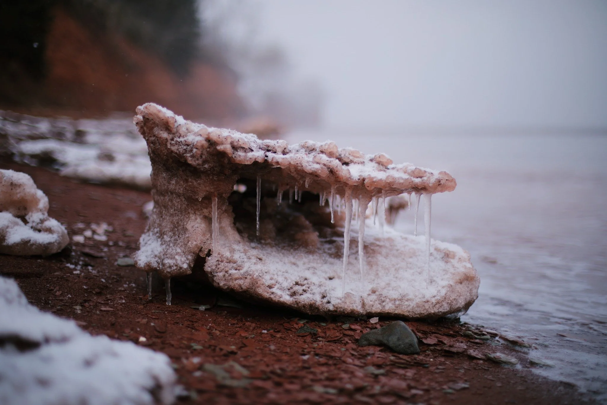 SHARE THE URGE &mdash;&mdash; This random chunk of ice is the closest you'll come to seeing an alligator on these shores. Sudden appearance of strange shapes mean nothing, just a notion of the ever-present threat in winter. It bites my fingers invisi