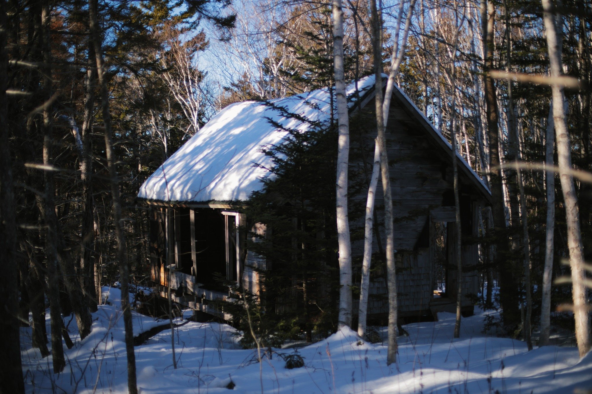 THESE BONES &mdash;&mdash; I'd been exploring these woods for over a decade before I spotted David Salvador's unfinished cabin. It was several years still before I connected it to the man. It started with a bottle of prescription medicine he'd left b