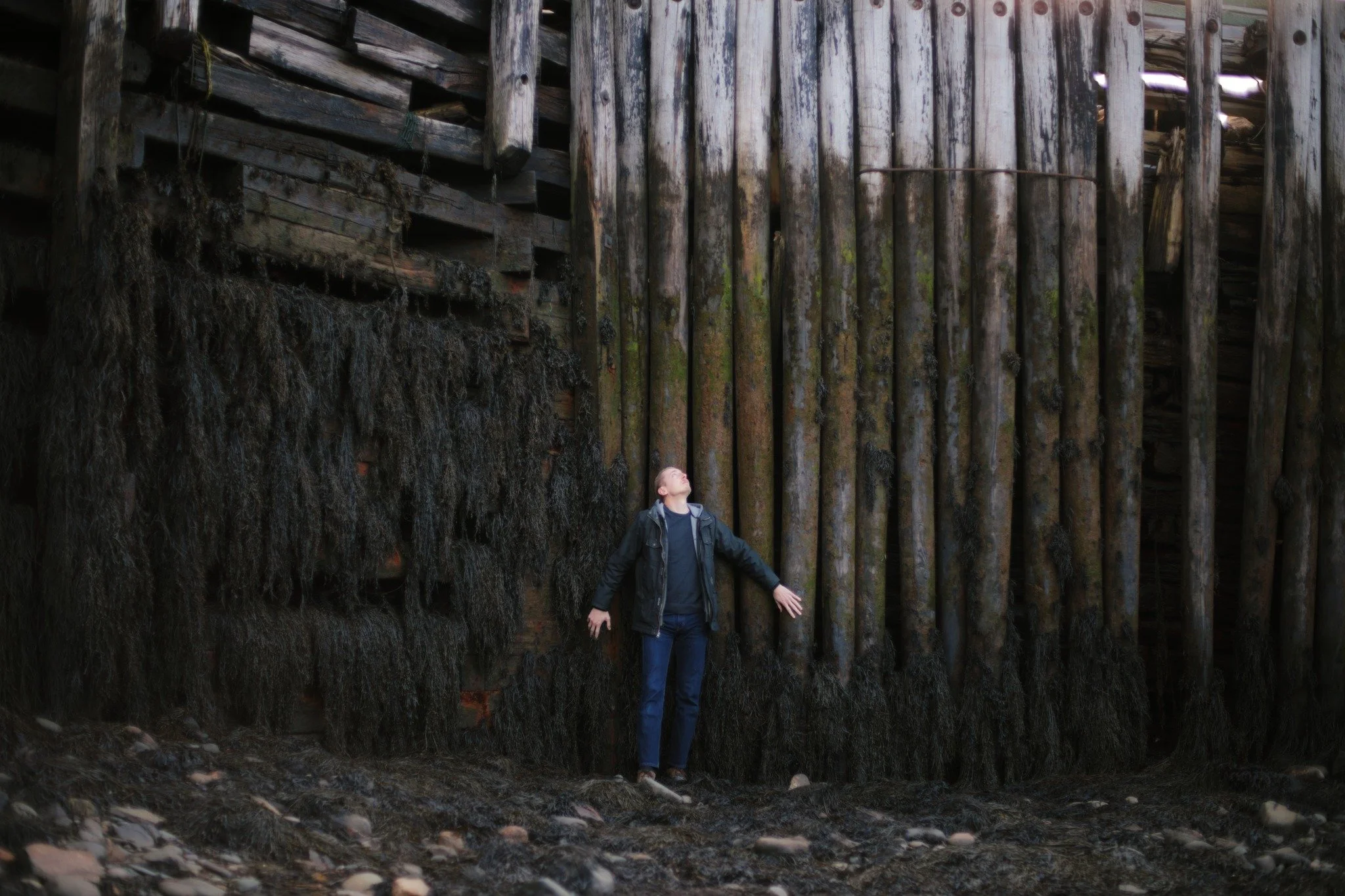 WHO WILL KEEP YOU

I was born before
the turn of the century
taught to speak up for myself
before the honourable mention me
a young man looking back
as the snow covers his tracks
getting ready to lie and let
his skull freeze solid in the sun
till the