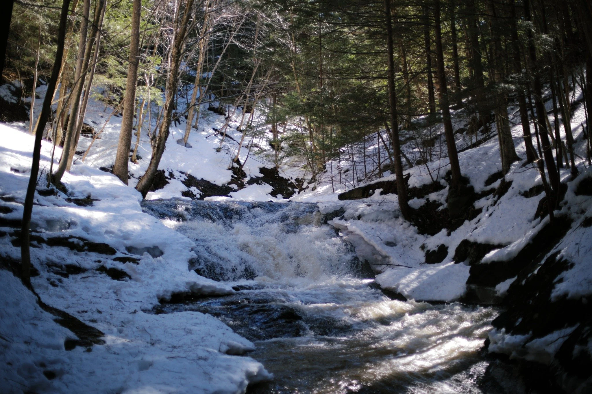 SWEET ISOLATION &mdash;&mdash; Sunlight is something I love most on the edge, when the source is hiding from me or me from it. Moore's Brook is moving for the first in some months, soft cascades colliding and catching like sparks. There's still a who