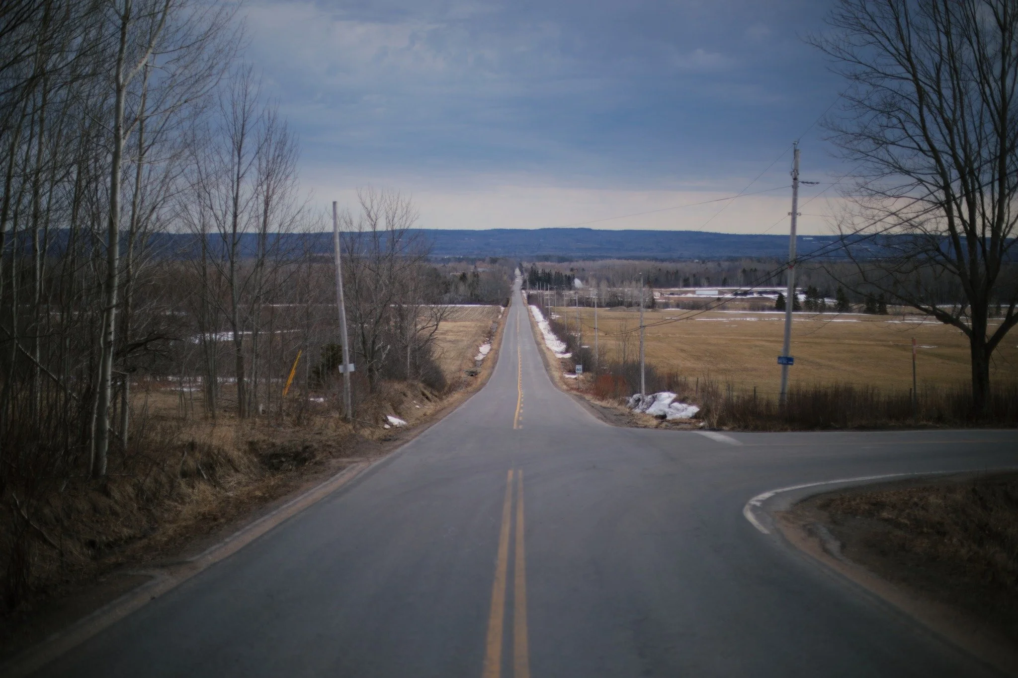 ANTIDOTE &mdash;&mdash; Dark days of late winter are wrapped in dreams of spring, yellow-brown grasses cast under blue-grey skies. Cold contrasting pictorial poetry, it rhymes because I say so. It took me years to start taking pictures of what actual