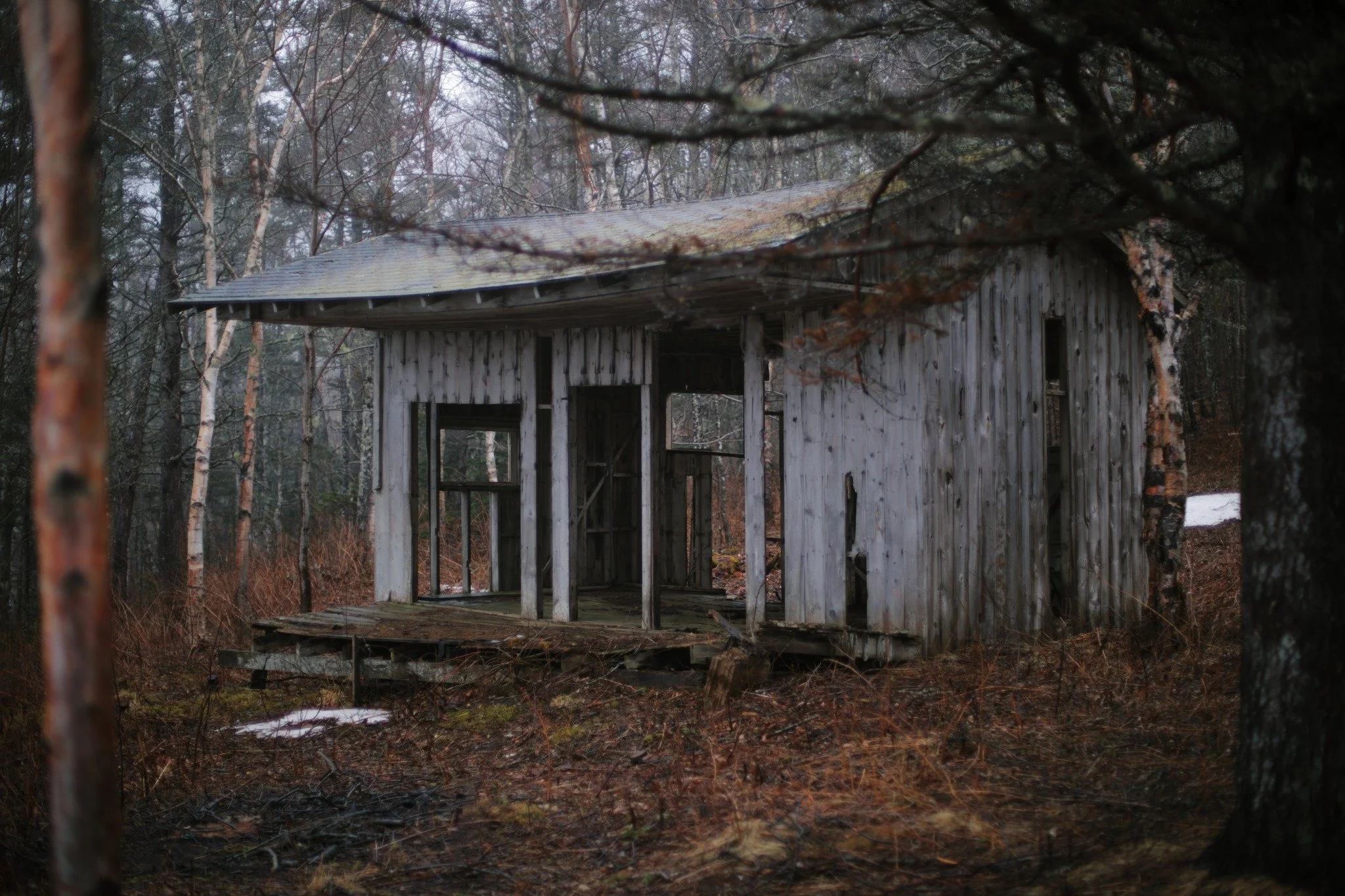 HEAVY TO HOLD &mdash;&mdash; Wherever the road ends, I am. Stumbling out of the misty forest, as if it's certain I'm belonging. The well-drenched woods livens every bit of colour it inhabits. Papery bark turned warm and reddish, old yellowed moss as 