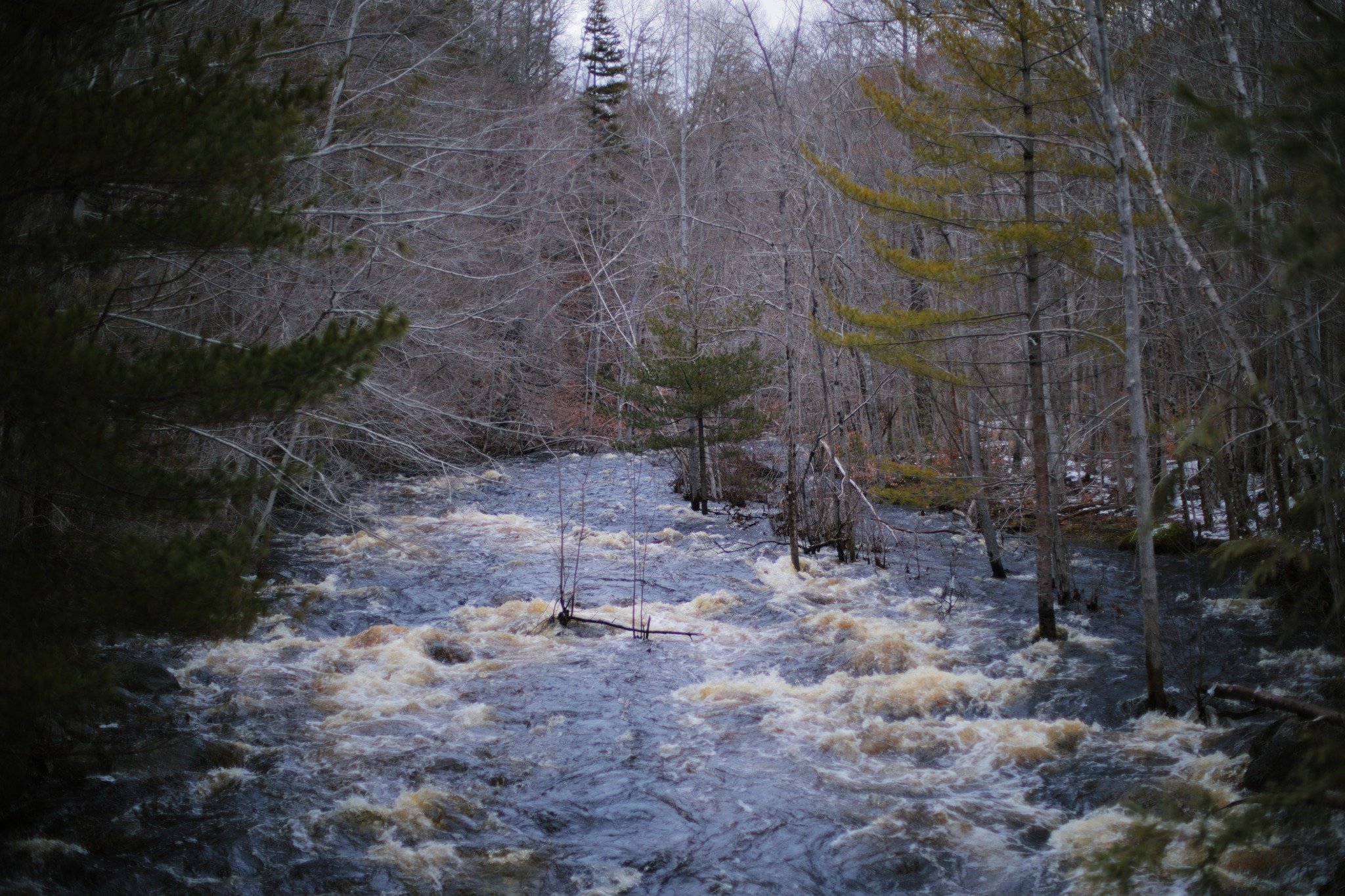 SHY A SENSE &mdash;&mdash; There's a couple crumbling bridges on the east branch of Bear River, fine perches to stand and watch the chaos of meltwater rushing. I'm hypnotically held up, lingering weightless over the bank-bursting roar. I sometimes th