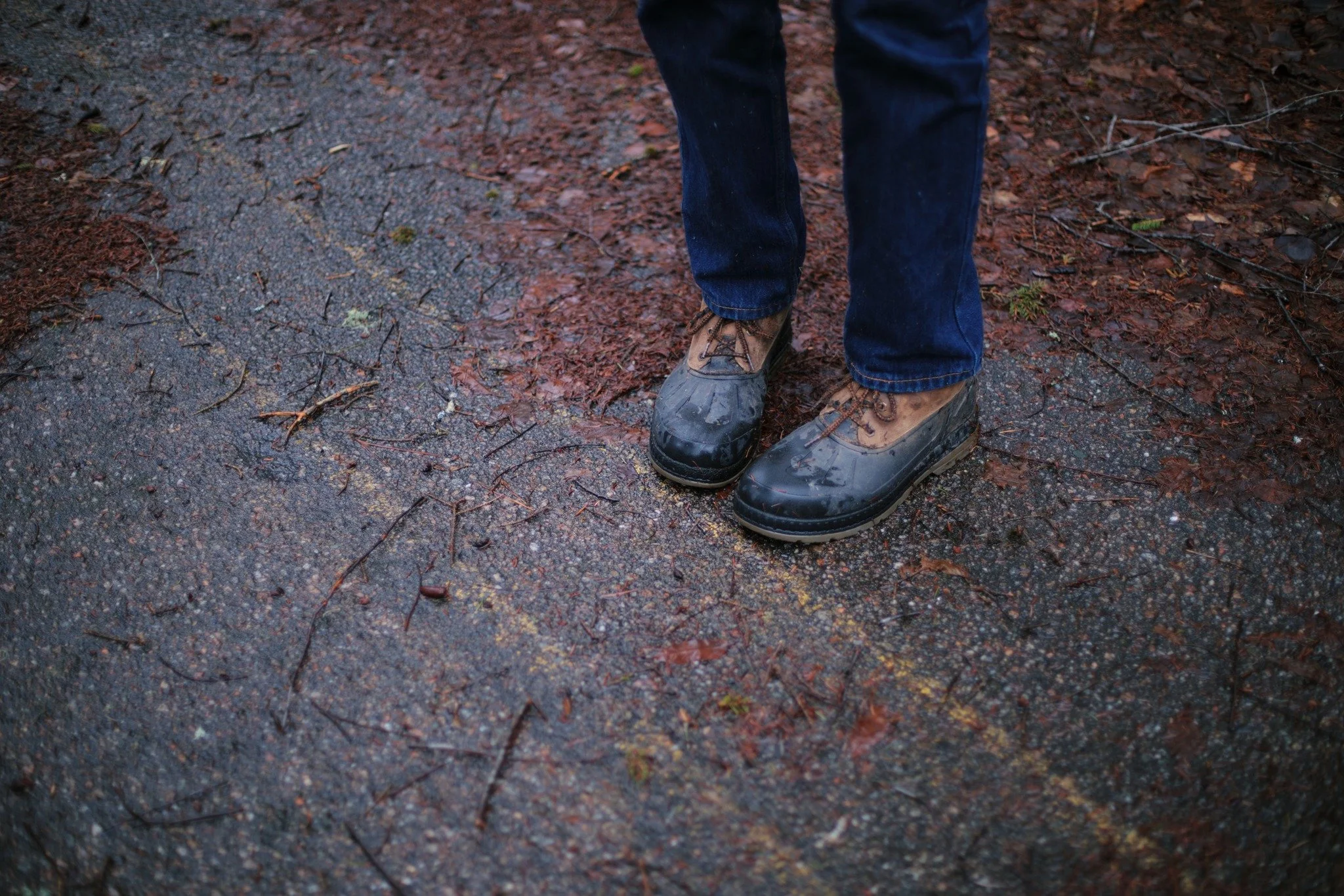 OLD AS I AM &mdash;&mdash; Short stretch of asphalt abandoned, from back when they straightened Clementsport Road and the Highway 101 overpass came through, circa late 80s. Somewhere like this is a dream when you're a kid running wild, dead end for p