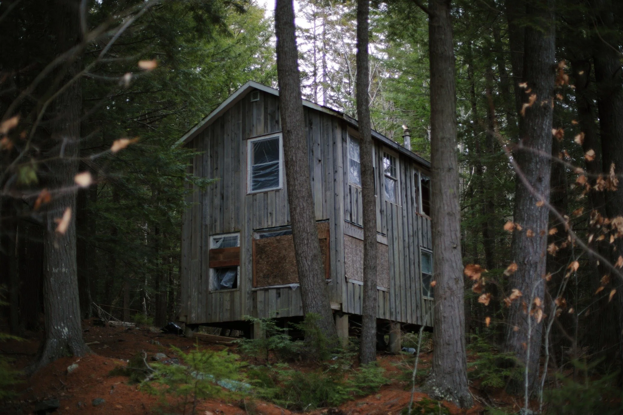 DARK AS WELL &mdash;&mdash; This is your dusky dream drifting, dim realization that something strange has taken hold. Maybe it's the sour sweetness of rain-soaked needles underfoot, or the rarely towering canopy here in the land of clearcuts. Down wh