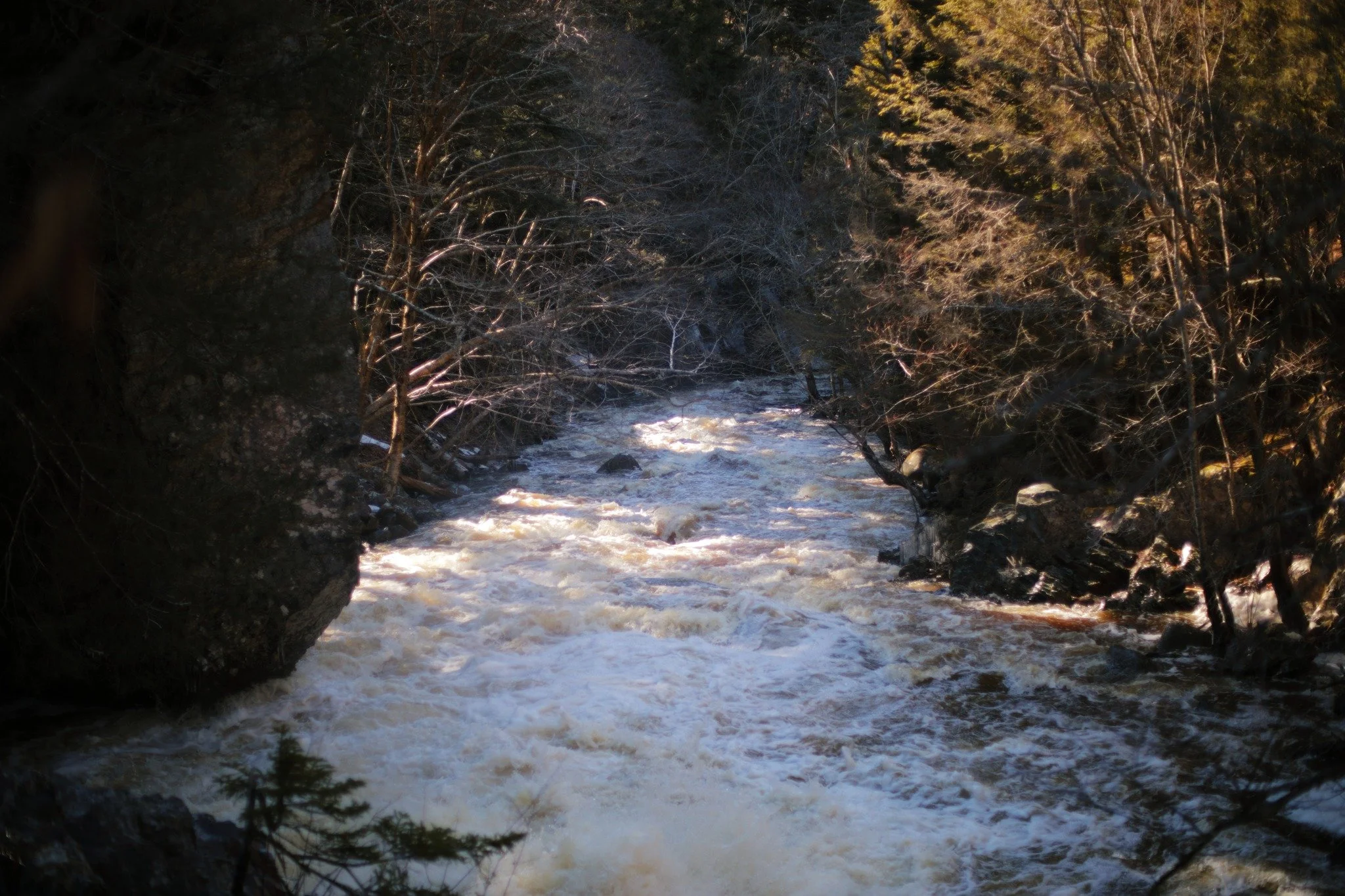 HERE ALONE &mdash;&mdash; Much of inland Nova Scotia drains through Fales River in these parts. This is the end result from the joined forces of Mumford Brook, Birch Lake, and Cloud Lake beyond. All that's left is to join the mighty Annapolis where i