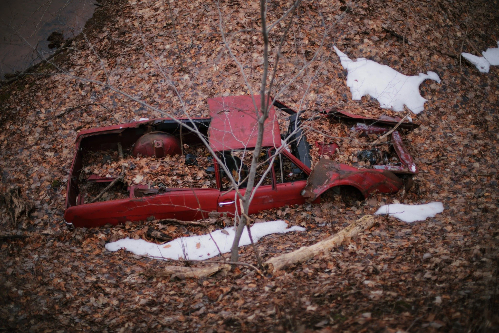 PAST IS STUCK &mdash;&mdash; When snow goes, the dominant colour in the deciduous forest is orange. All of last year's life lost, and nothing new yet. This rust bucket almost blends in. Griffin Brook is like most streams where the Valley is wide, end