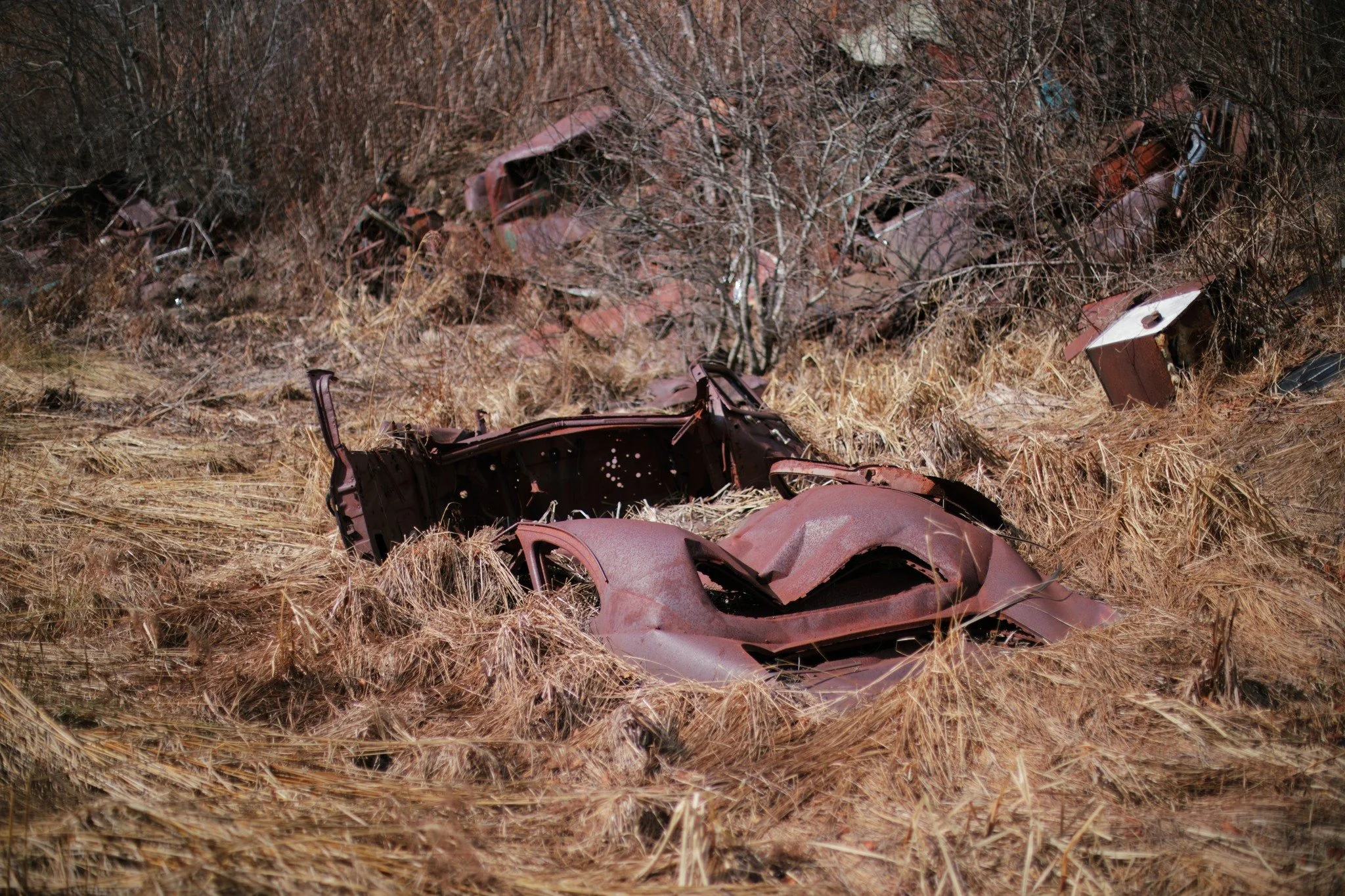 ABOVE ITSELF &mdash;&mdash; The first gasps of spring are stunningly monochromatic, dead stuff revealed and drained of colour. I love the lonesome beauty in seeing not a single bit of green. The trash of last century fascinates me, desperate bits of 