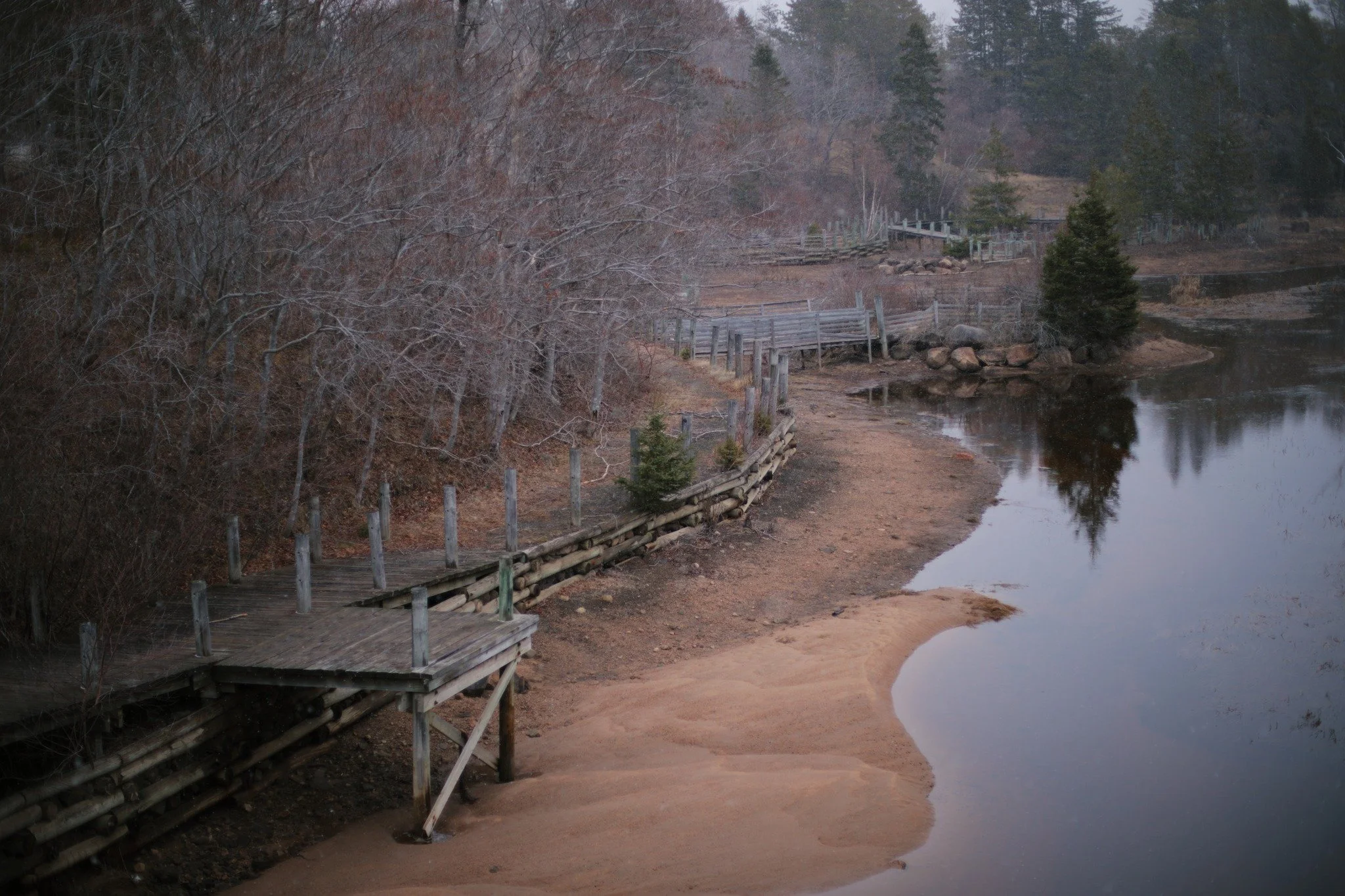 ONCE DAMMED &mdash;&mdash; When you stand up on the outskirts, and stare into the remnants of an amusement park called Upper Clements, you'd be forgiven for thinking it'd been dead for decades. But the plug was pulled in only 2019, at the end of that
