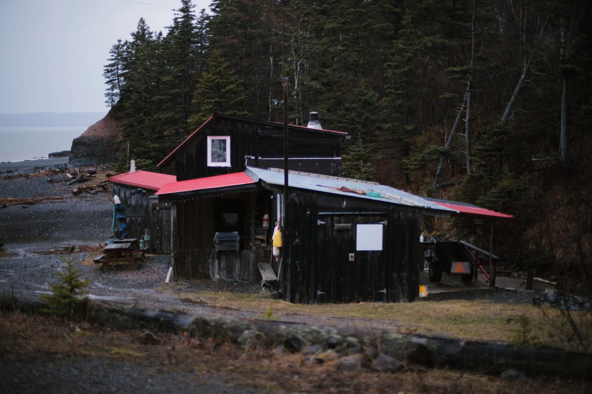 SLEPT A SEASON &mdash;&mdash; I've long loved a risky building. Whoever built this cottage went bravely to the lip of Ross Creek east, and the salt shore north. They haven't been proven wrong just yet, still intact even after some wildly raging summe