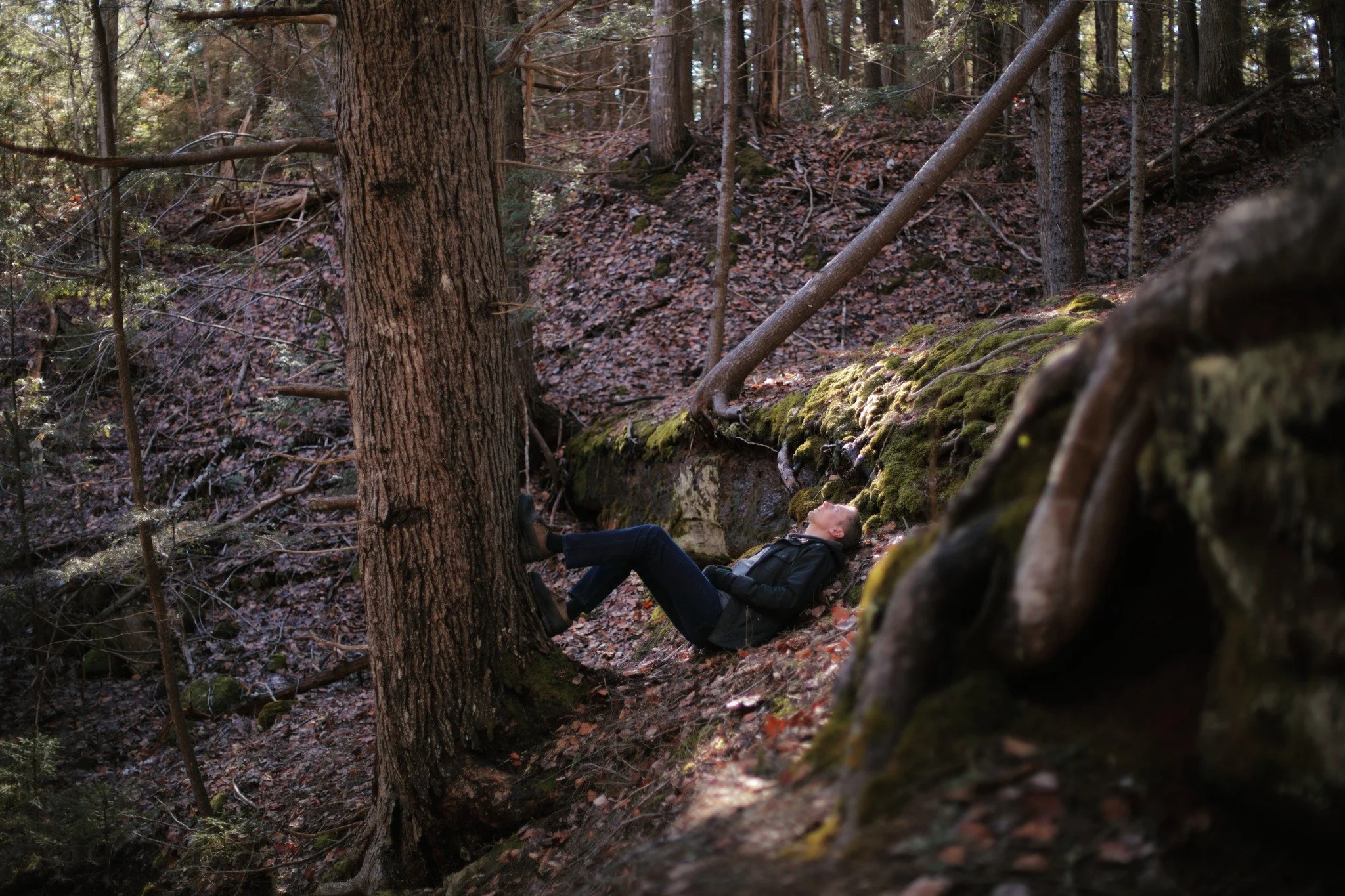BODY WHO LEFT &mdash;&mdash; In early spring, it seems like the clearest days are the coldest ones. But in some lucky shaft of light, where the forest floor has had time to dry, I can claw a little warmth back. Hollow Brook has been a regularly recur