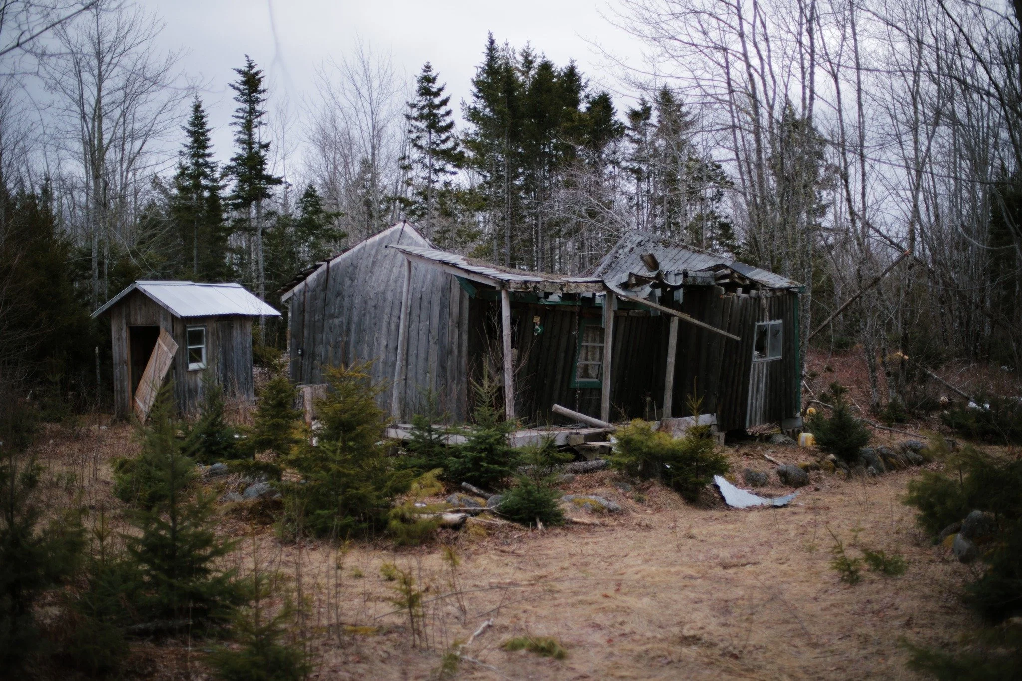 WHAT WAITS NOW &mdash;&mdash; Places I found in the result of random wandering often mean the most to me. When I stumbled into this lonesome lot seven springs ago, the roof had already partially collapsed. Been on a steady downward trend ever since. 