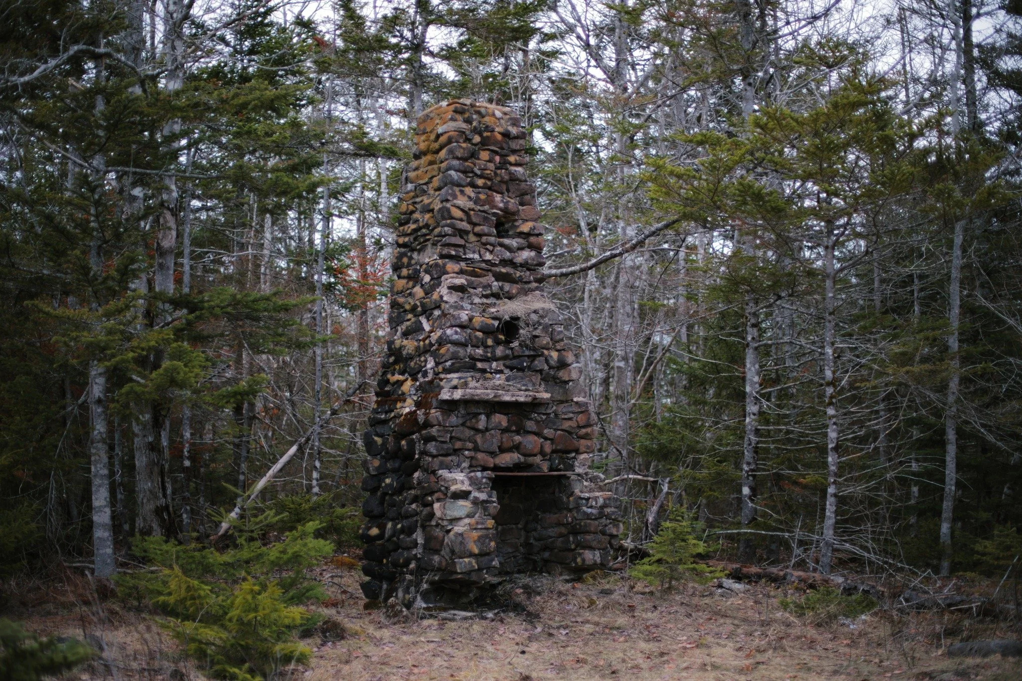 DESPITE THE FACT &mdash;&mdash; Chimney cairns are cold reminders of all the warmth they gave once. Countless thousands of fires sparked and started, fanned and drawn. The homestead here has left no other trace, but this fireplace remains. I don't kn