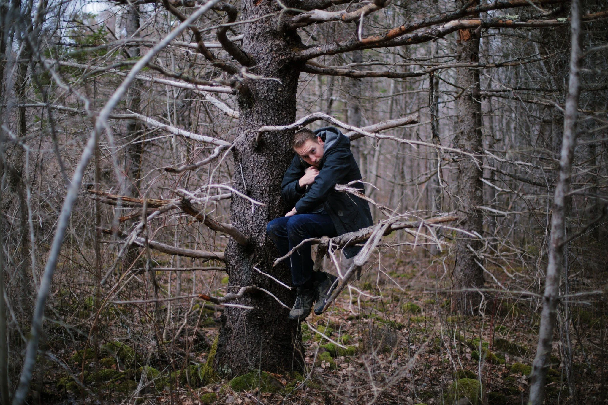 LIKE THE BIRDS &mdash;&mdash; I think a lot about the beauty in a dead blinding tangle. It's an appreciation I'd best nurture, because I've spent a lot of life in the bob and weave. After a time, you grow a sense of where your limbs end, the space of