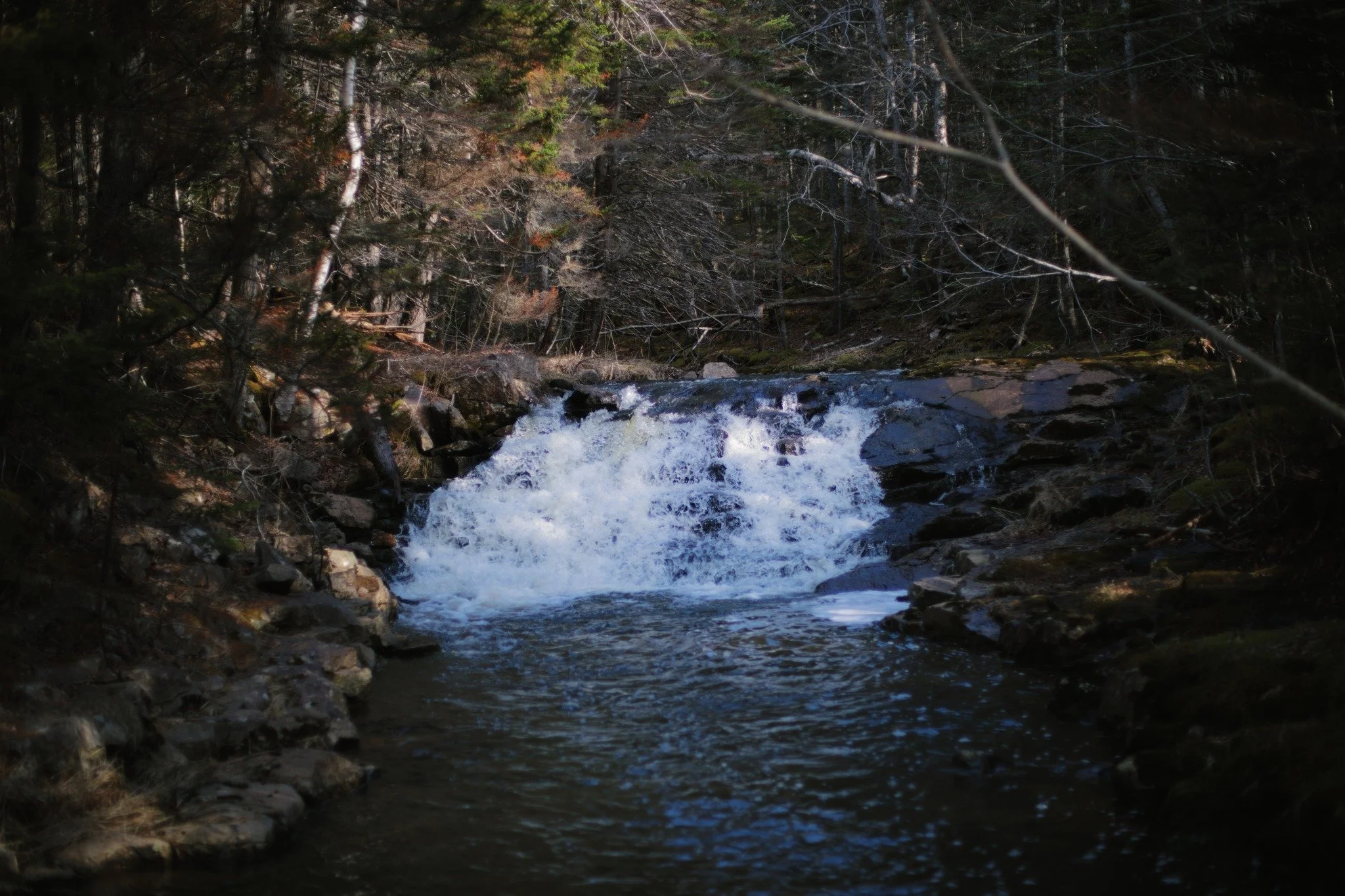 WHITE NOISE SAYS &mdash;&mdash; This rocky pool sits dry and empty in most midsummers. It's the fate of all streams fed from the North Mountaintop to the sea, a source that's capable of quite some chaos, but doesn't last in drought. Sheep Shearer Bro