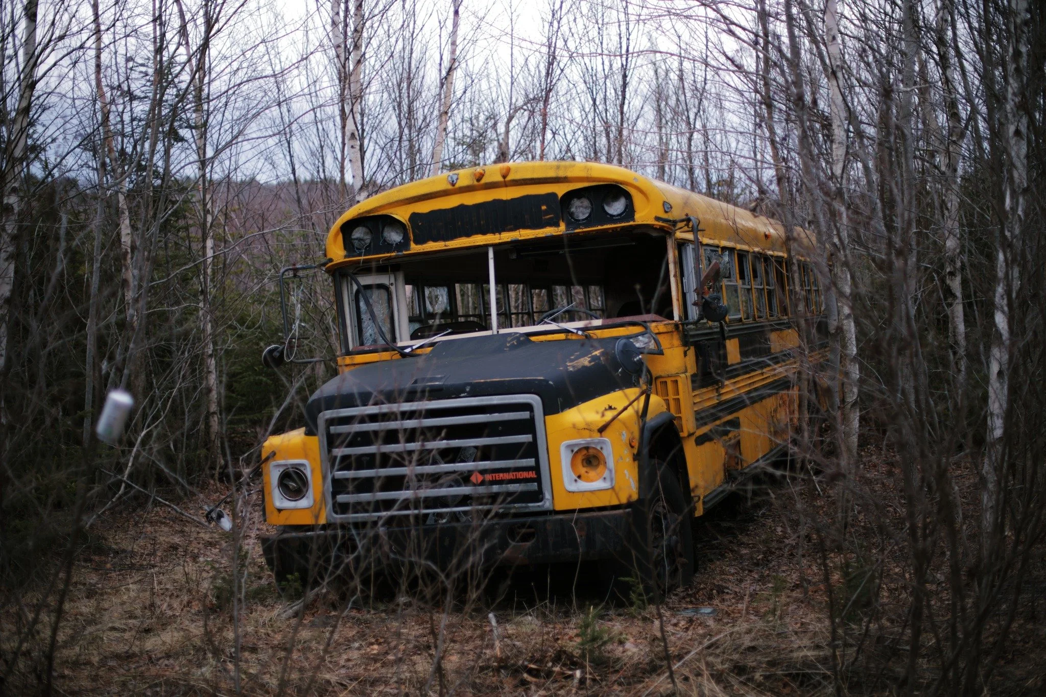 STRIKES YOUR EYE &mdash;&mdash; What should an old school bus be doing so far from civilization? Maybe a shelter for some hunters, or somewhere for the loggers to keep warm. Inside was an old woodstove rusted within an inch of its life, and unburned 