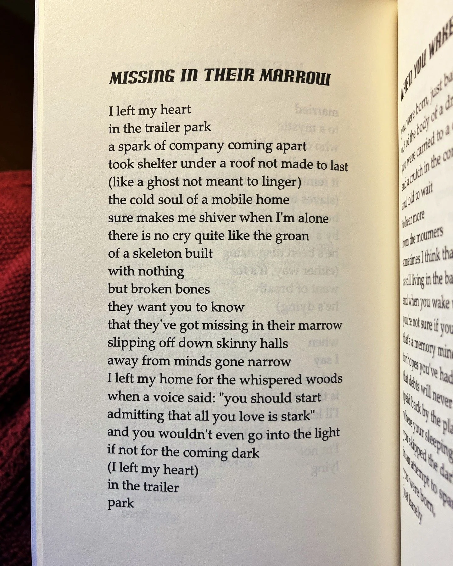 Written in tribute to the dark daydreams of rundown trailer parks, of which my homeland has many. From my most recent poetry paperback: The Detourist. It's currently on sale for 50% off, and you can grab a signed copy here: www.etsy.com/shop/SteveSka