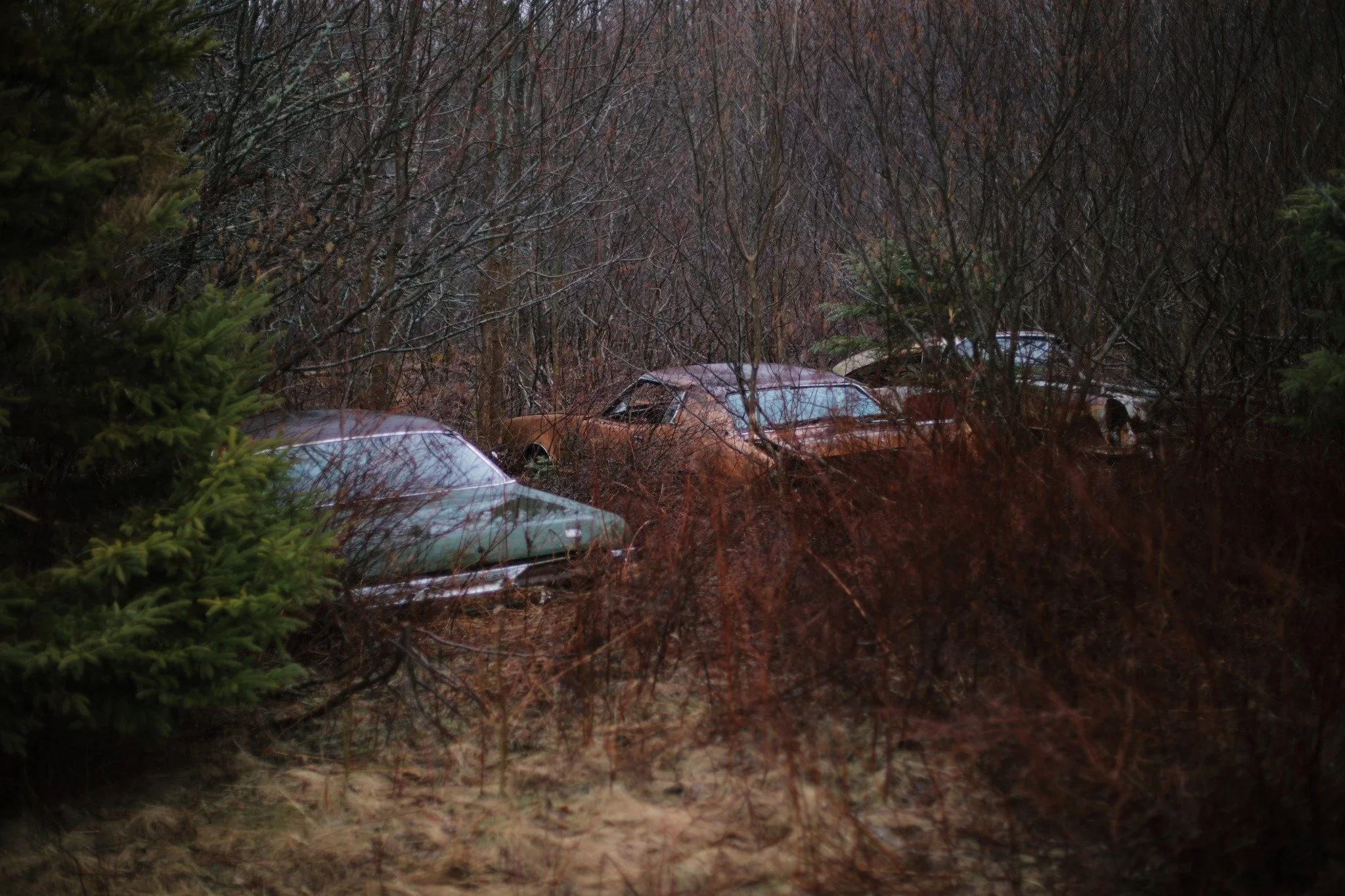DRIVING FORCES &mdash;&mdash; The corners of a property have rarely let me down. Back where the dark rain washes rusty wrecks before my time, nothing has moved since I started. The homestead here was settled by a Charlton, long ago in the 1800s. Thei