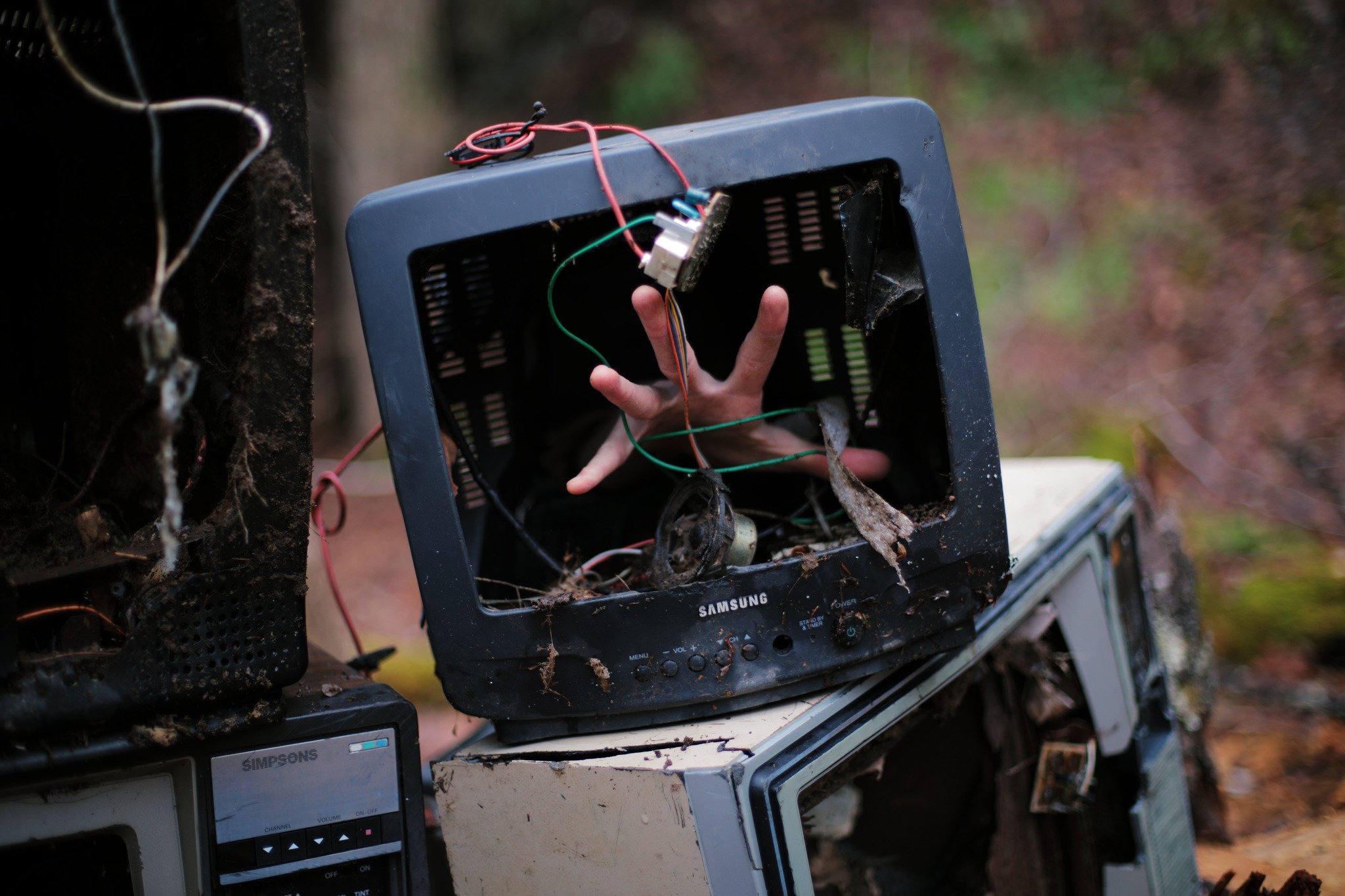 BROKE THE LEASH &mdash;&mdash; As a millennial, I'm part of the last generation born to the monoculture. Growing up, we all had a mostly shared cultural experience. In the 1990s, everyone knew about the same books, same songs, same shows, same movies