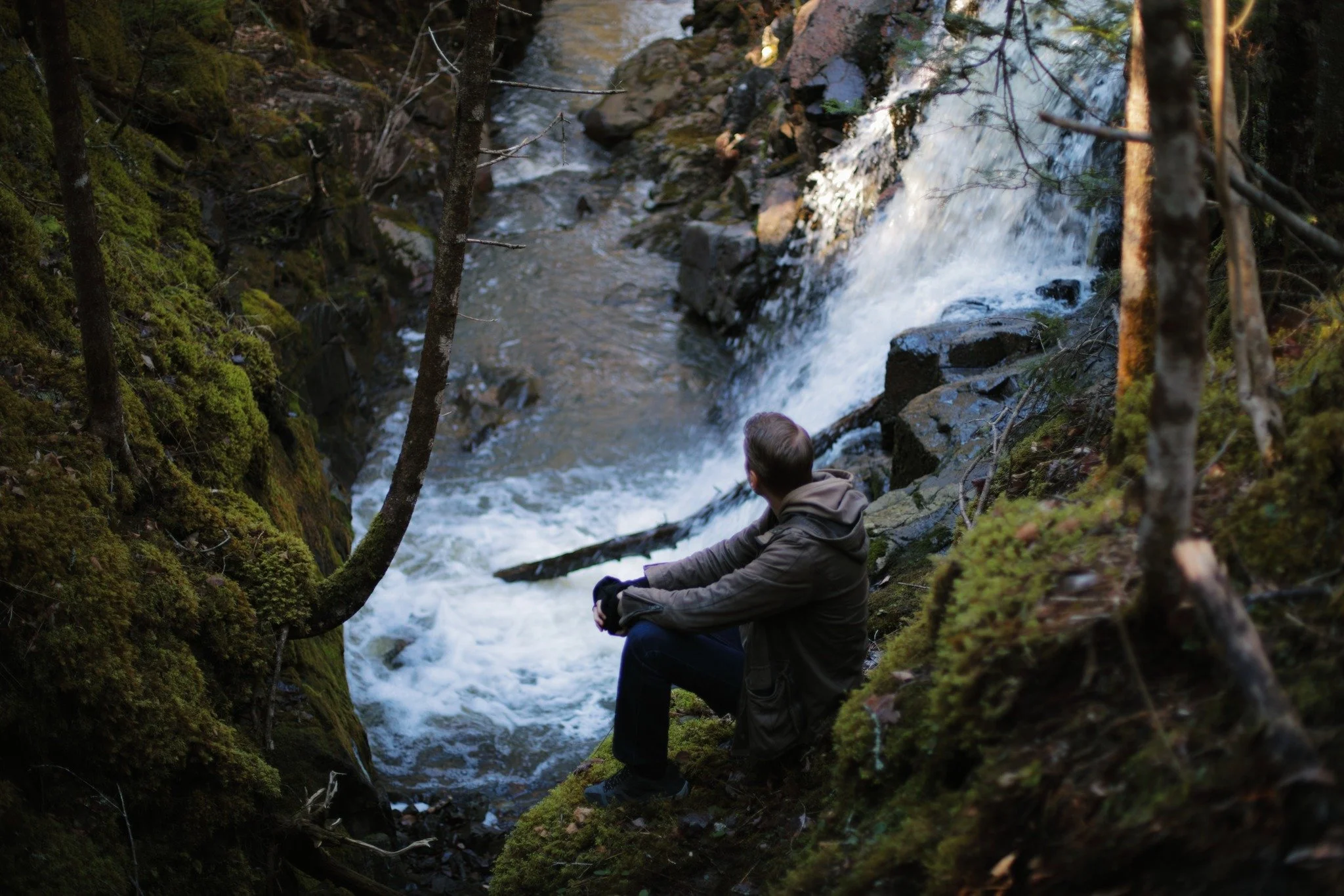 ROCKS AND RINGS &mdash;&mdash; What's in my thinking? Surely much the same as always, balancing social chaos with solo silence. Granville Line Brook leaves from here to the sea, and I'll be letting it go its own way, don'tcha know. I've been in a cyc