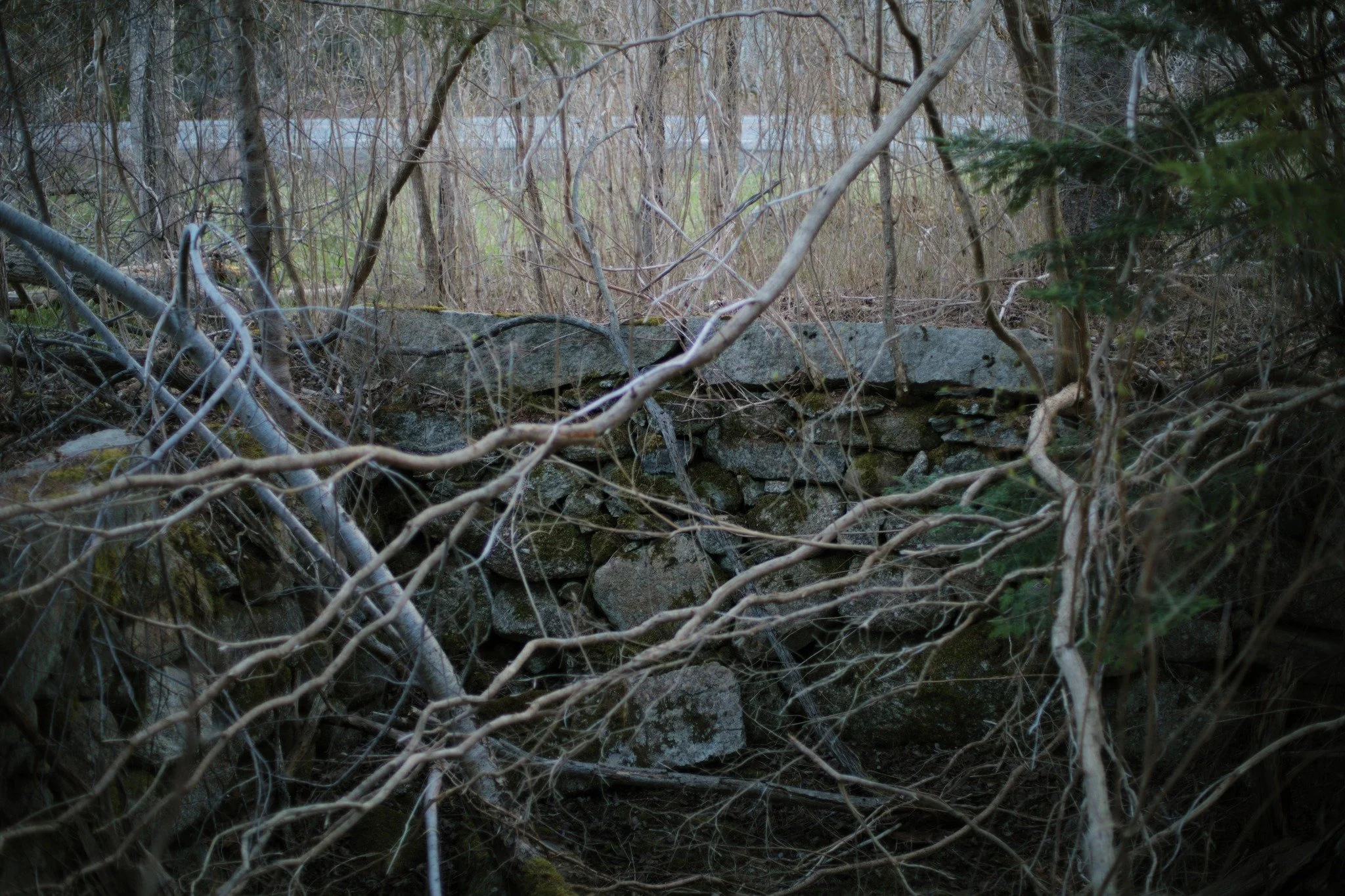 DIDN'T RECKON &mdash;&mdash; It's a good time to spot civilization in the wild, before limbs fill with leaves and hide a secret sight. We're just feet from Highway 8 down here, but you'd never know in passing. Unless you date from the days when a hom