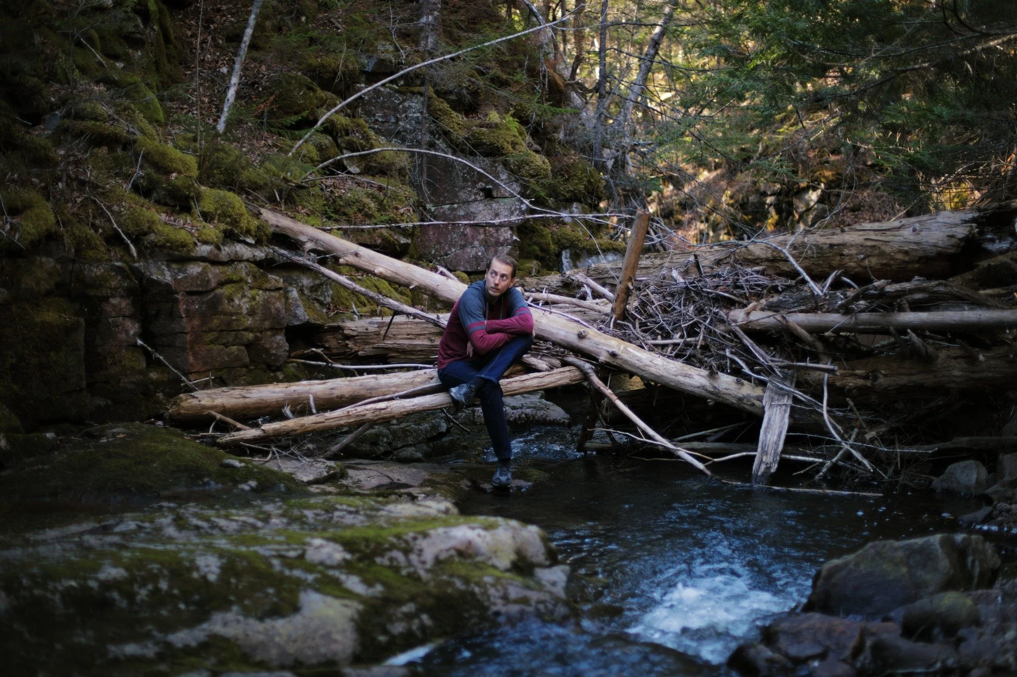 LIQUID SHOULDERS &mdash;&mdash; Two and three summers ago, we saw the wildest rainstorms of my lifetime. There are still signs here and there of their work. This logjam up Sheep Shearer Brook collected upstream deadfall from decades, little-shifted t