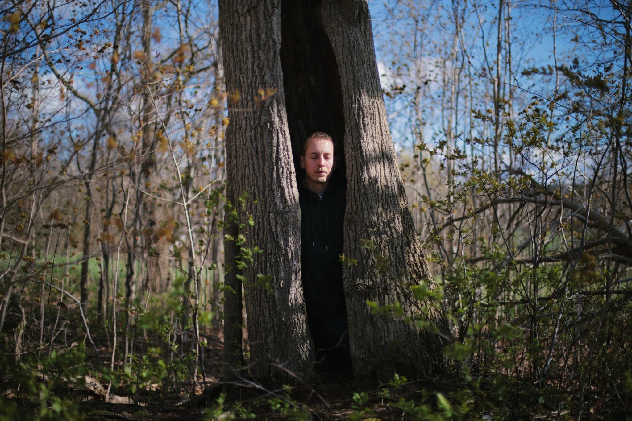 SO LONG AS NOW &mdash;&mdash; This hollow tree is far from dead. For years, I thought it was, having spotted it first all bare in the dregs of autumn. But life still buzzes through that outer trunk, and scraggly branches sprout leaves high ahead. Tho