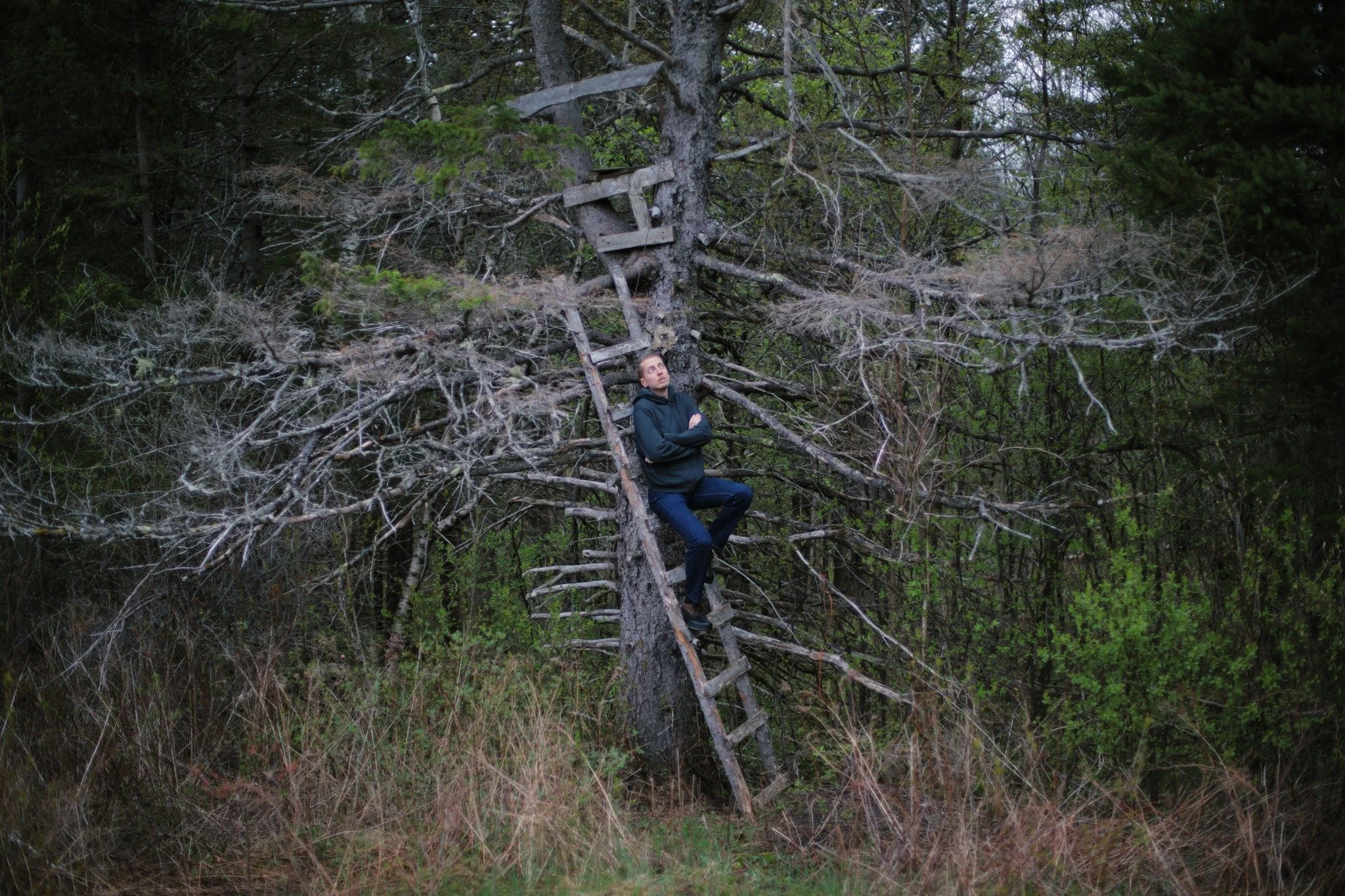 HANG LOW &mdash;&mdash; Rotten old deer stand isn't much use to you. But I can use it to overlook the world of feral fields, where wildlife keeps the woods from reclaiming. Ancient forests form natural meadows, breaks in the brush where creatures con
